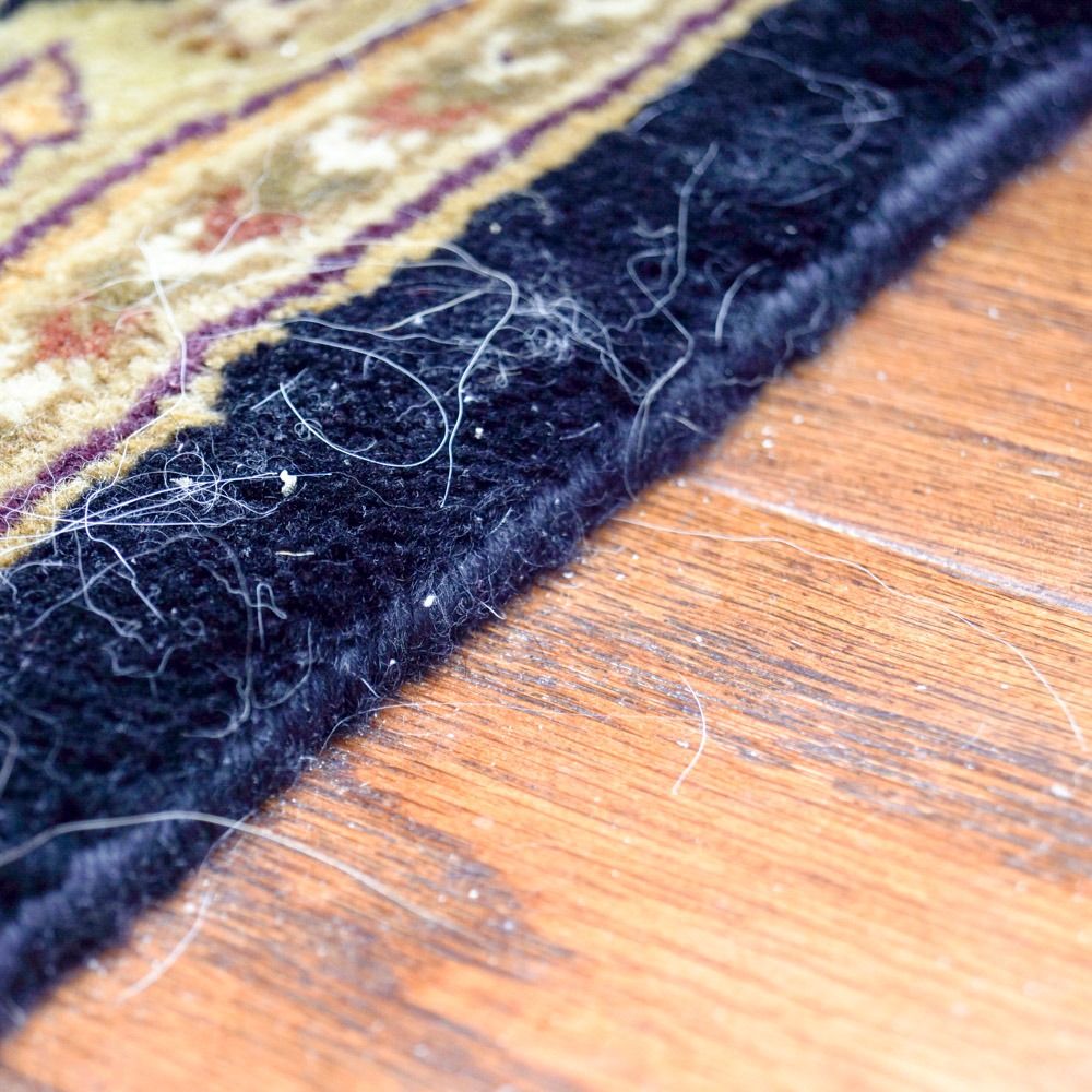 Gold and Black Area Rug