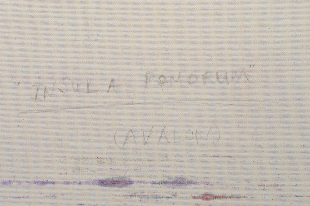 David Senecal Original Painting "Insula Pomorum"