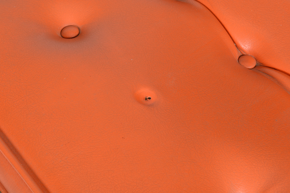 Mid Century Modern Bent Wood Chair