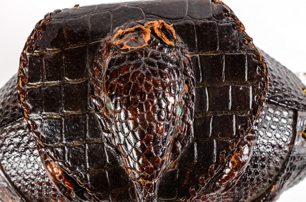 Vintage Armadillo Purse