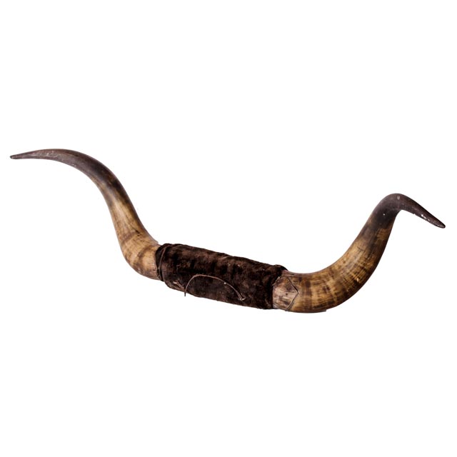 Vintage Mounted Bullhorns
