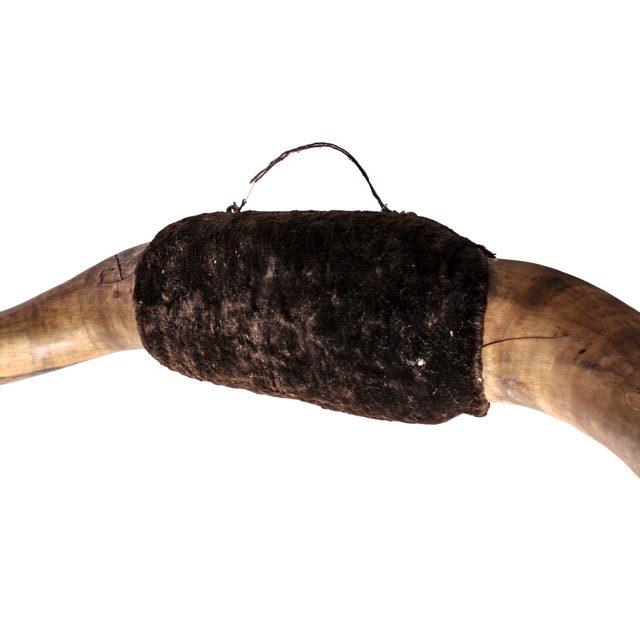 Vintage Mounted Bullhorns