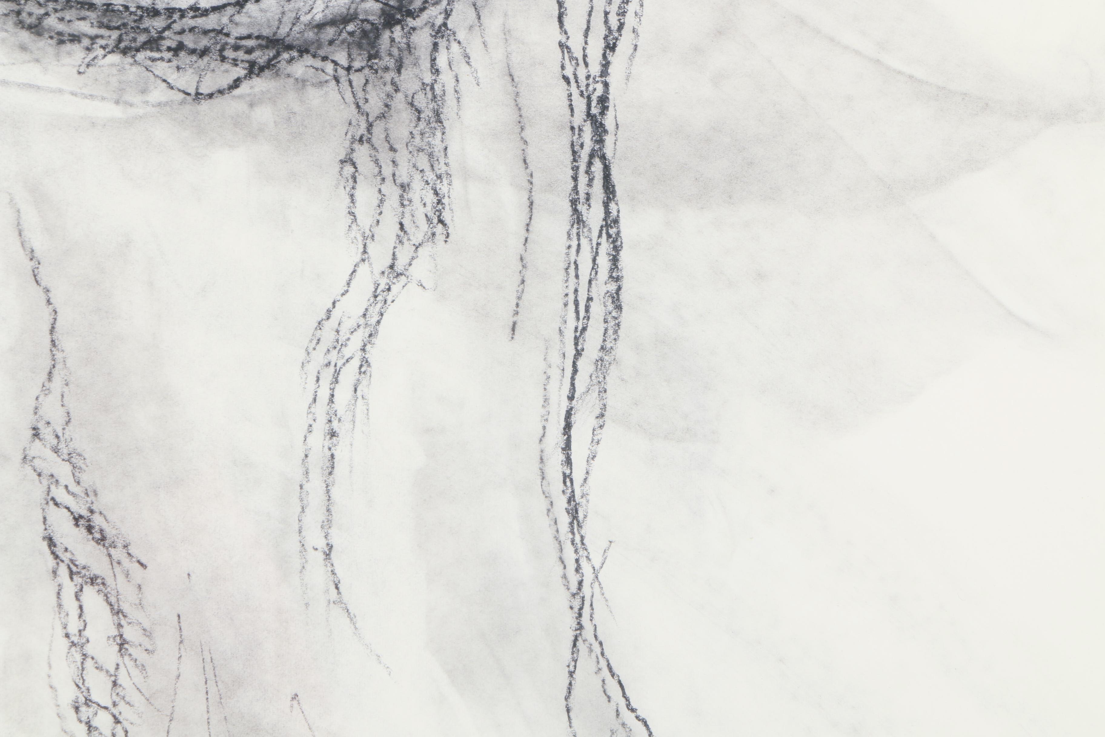 Charcoal Drawing on Paper of Figure Study