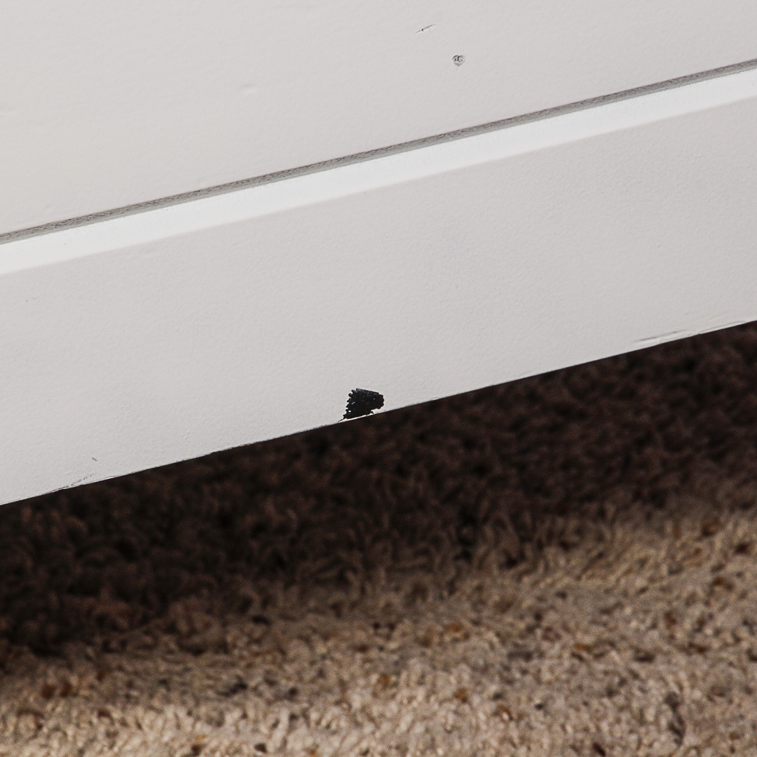 White Queen Size Bed Frame