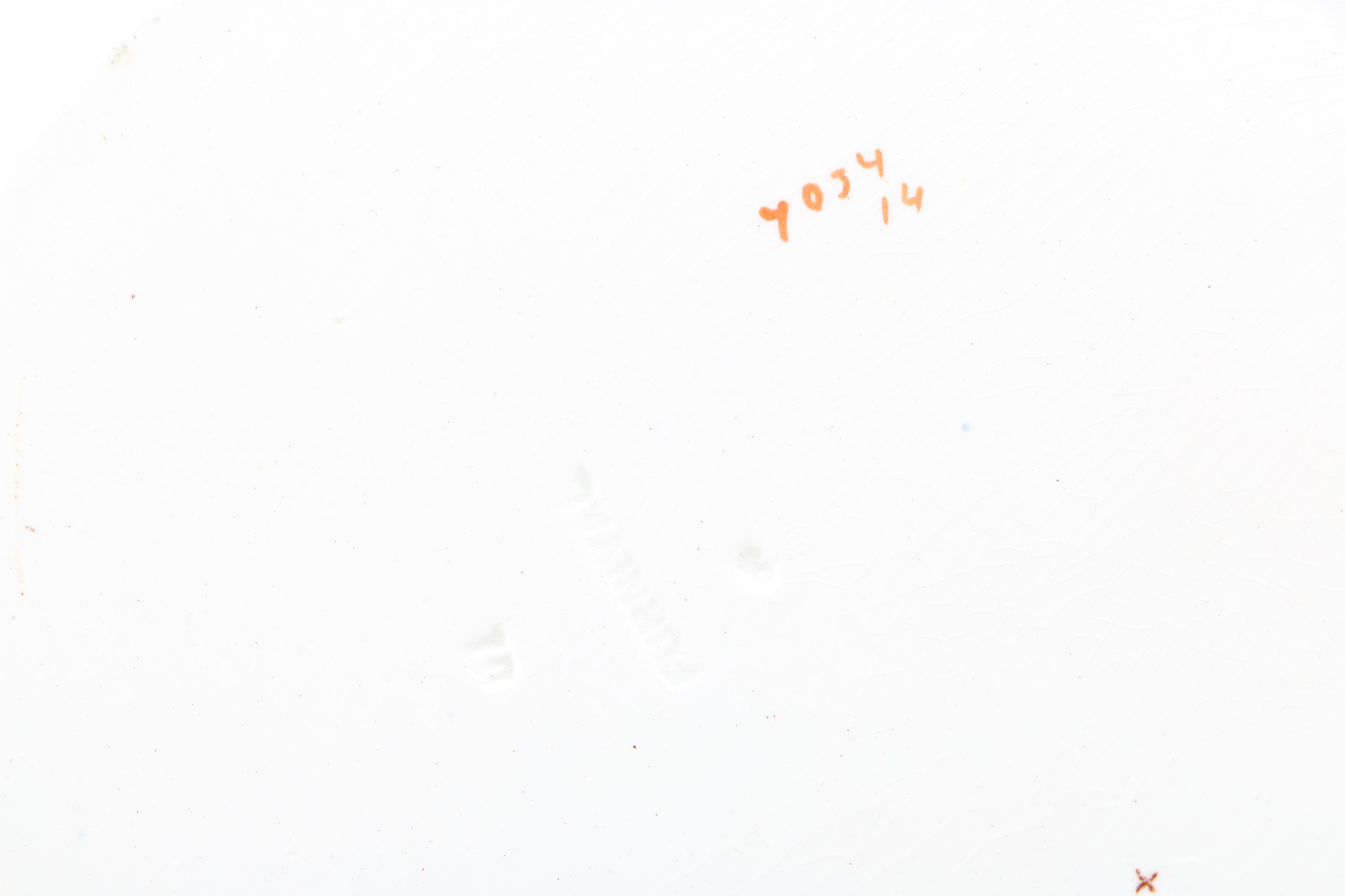 1879 English T. Furnival and Sons "Formosa Brown Multicolor" Transferware Tableware