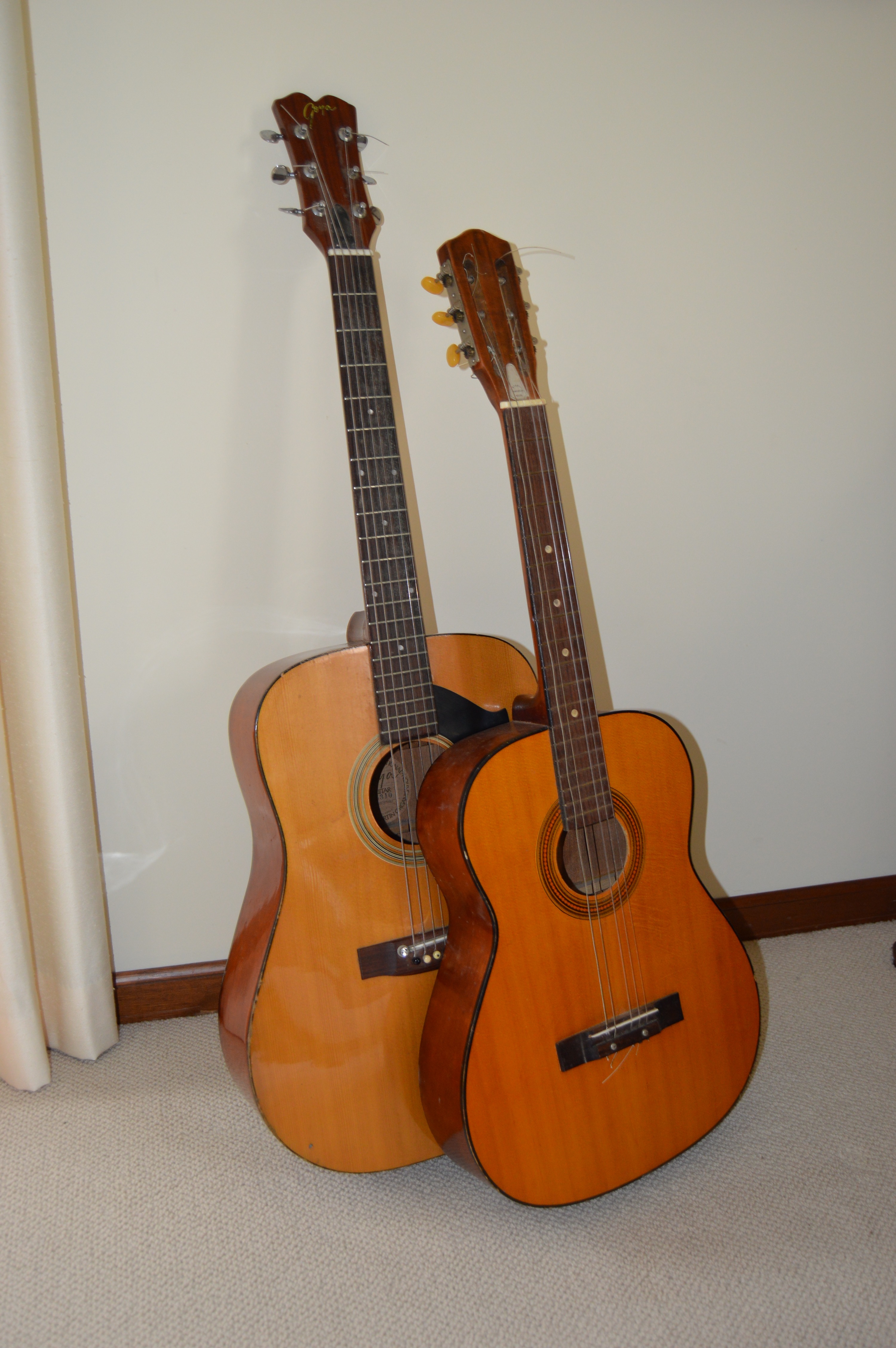 Goya G310 and Classical Style Acoustic Guitars