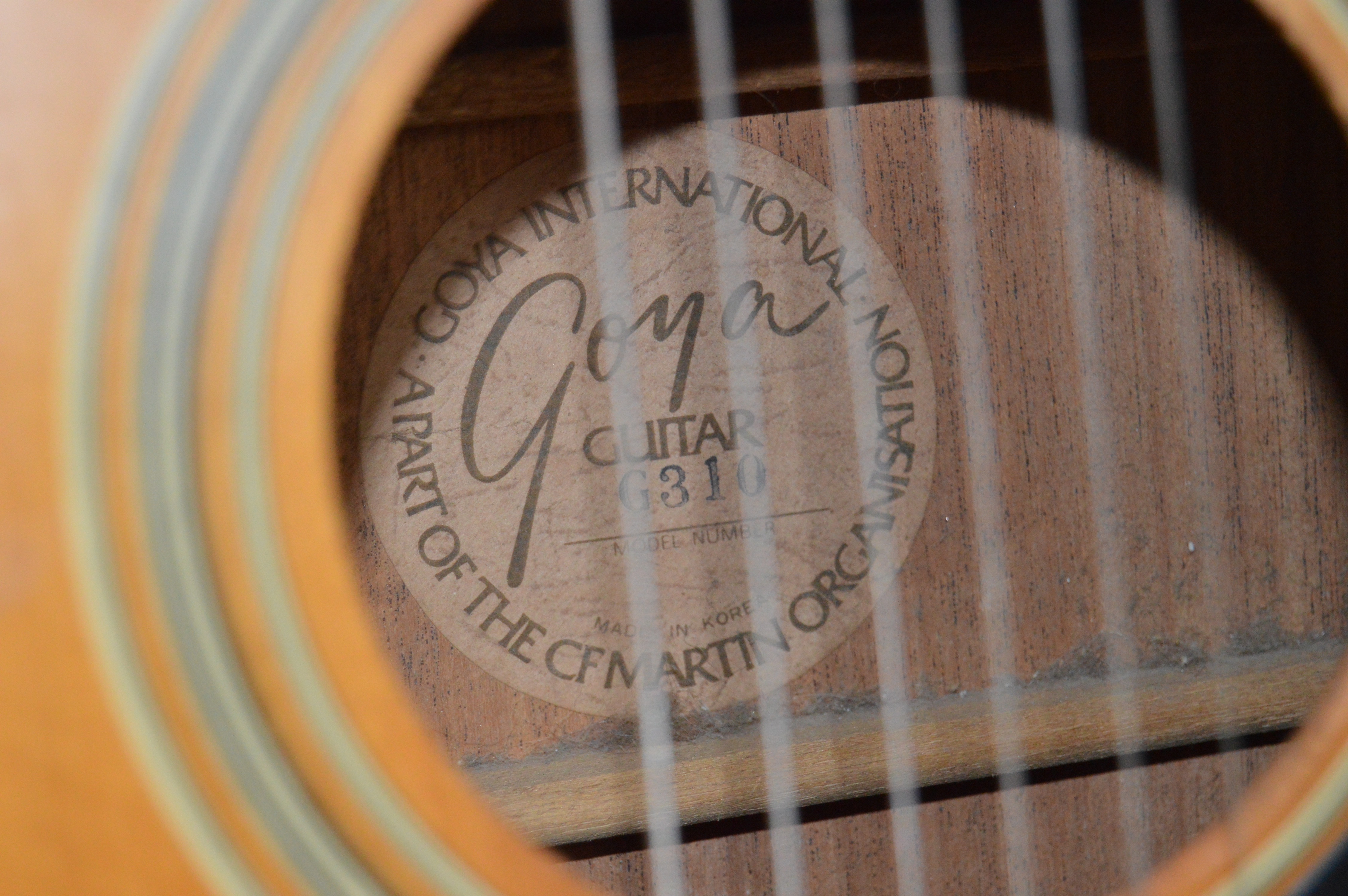 Goya G310 and Classical Style Acoustic Guitars