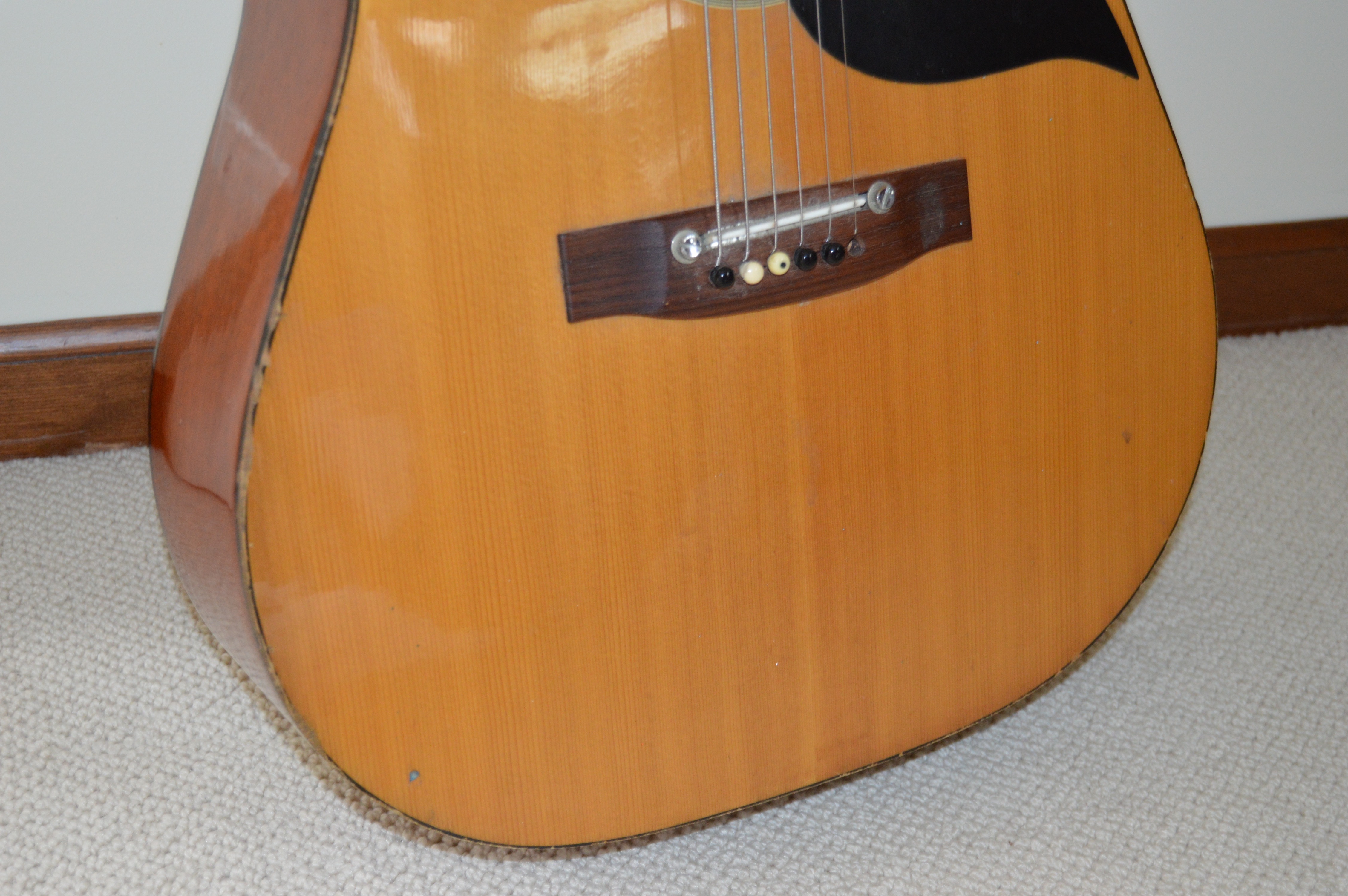 Goya G310 and Classical Style Acoustic Guitars