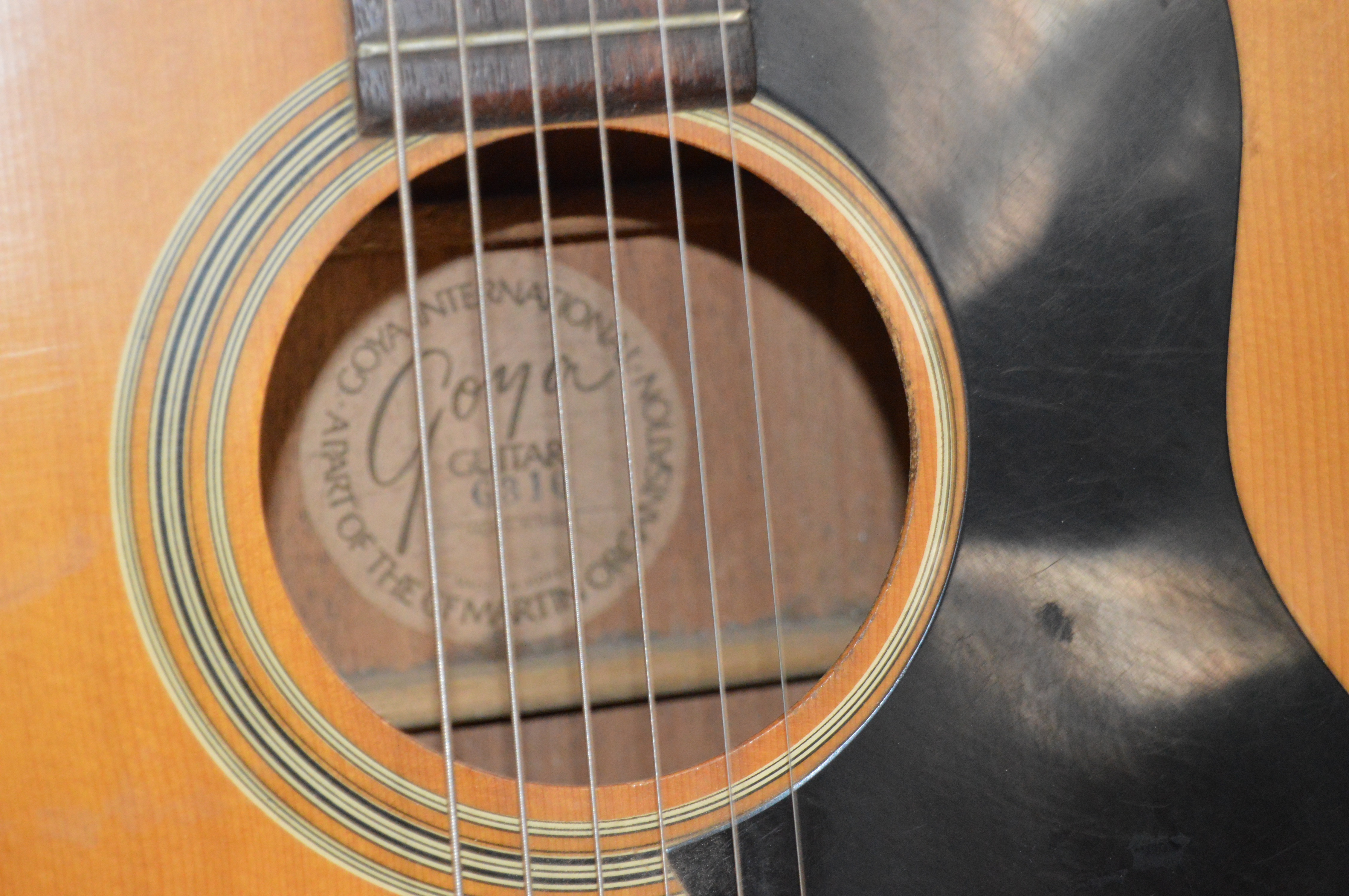 Goya G310 and Classical Style Acoustic Guitars