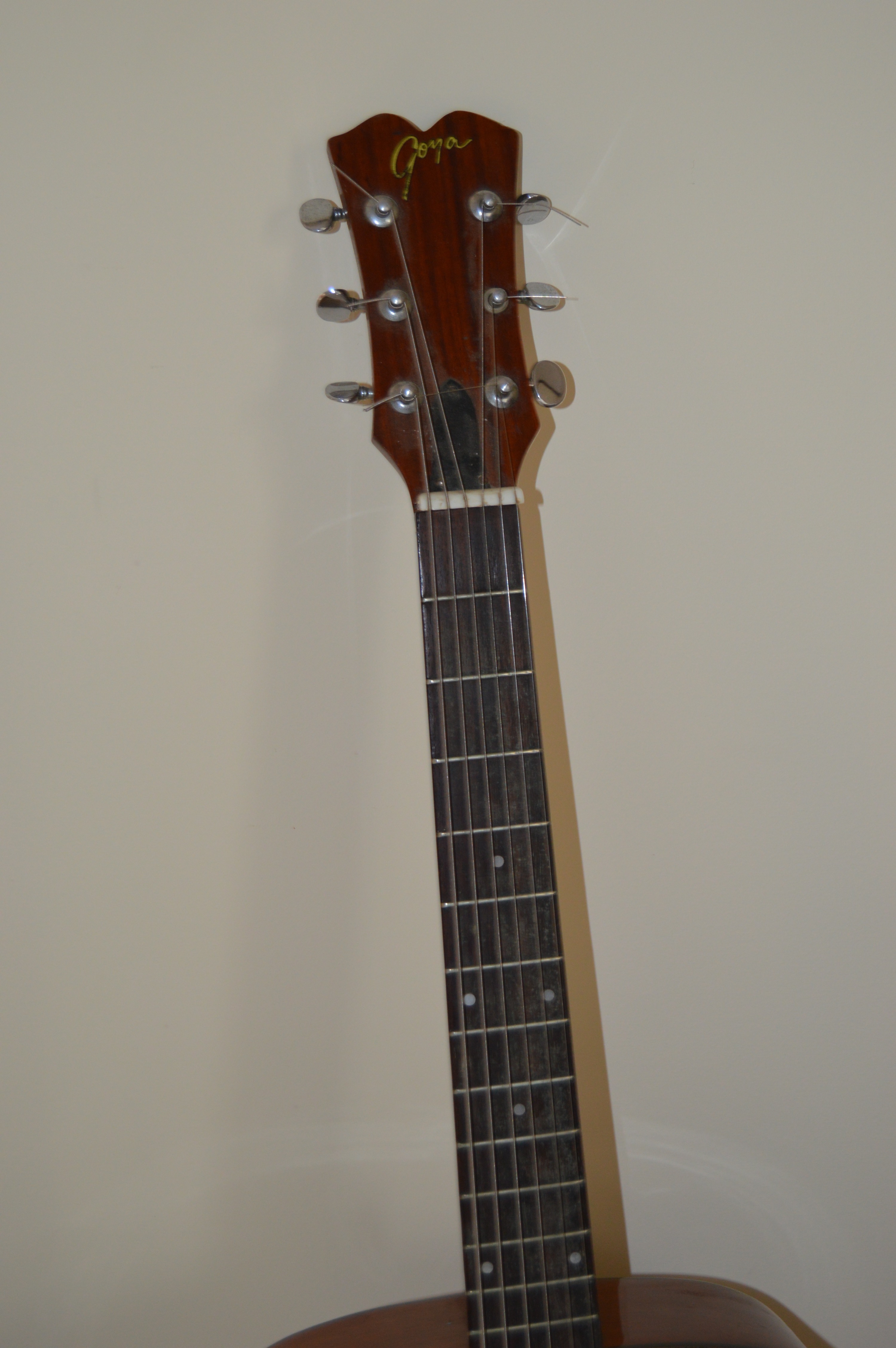 Goya G310 and Classical Style Acoustic Guitars