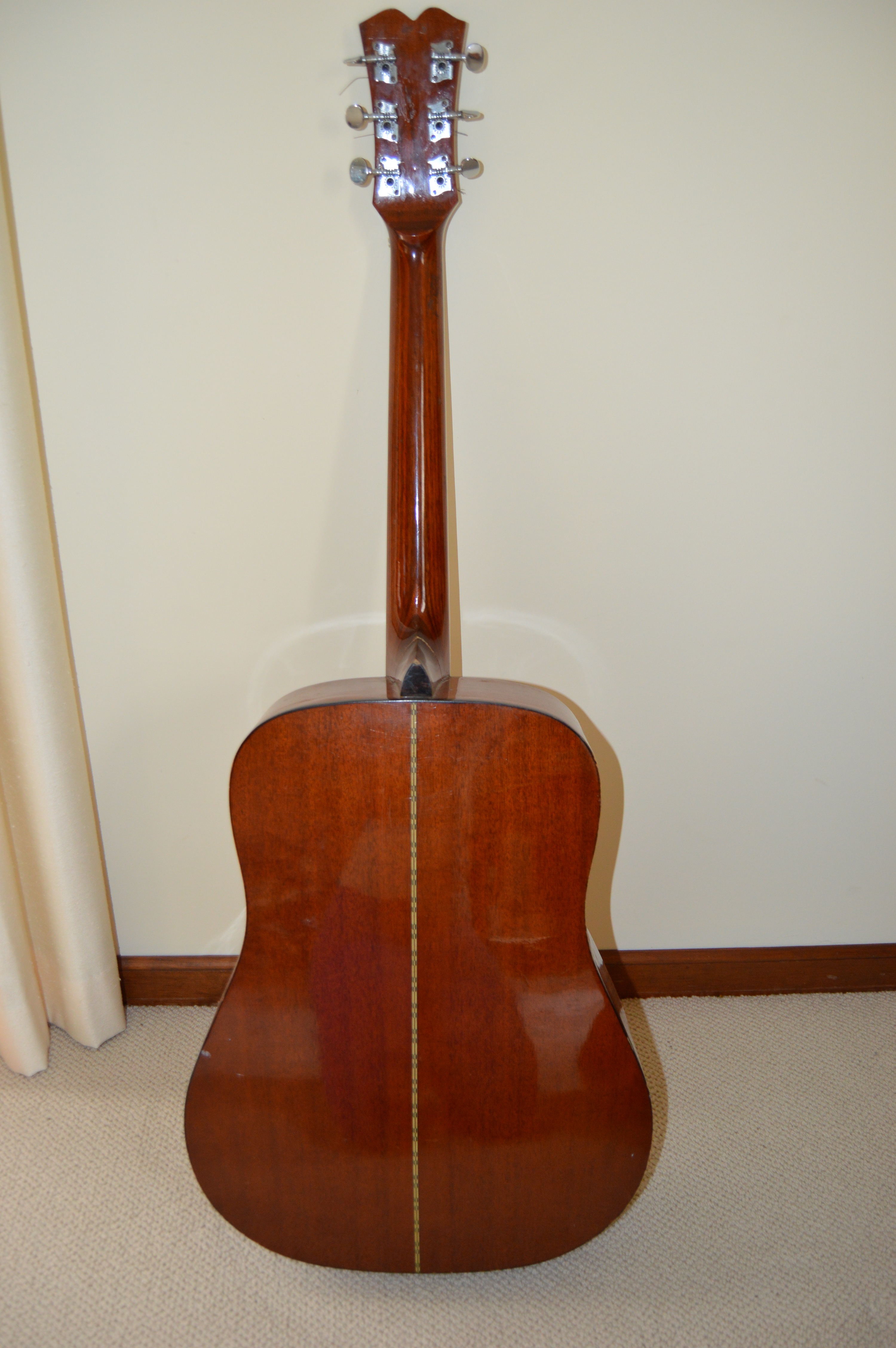 Goya G310 and Classical Style Acoustic Guitars