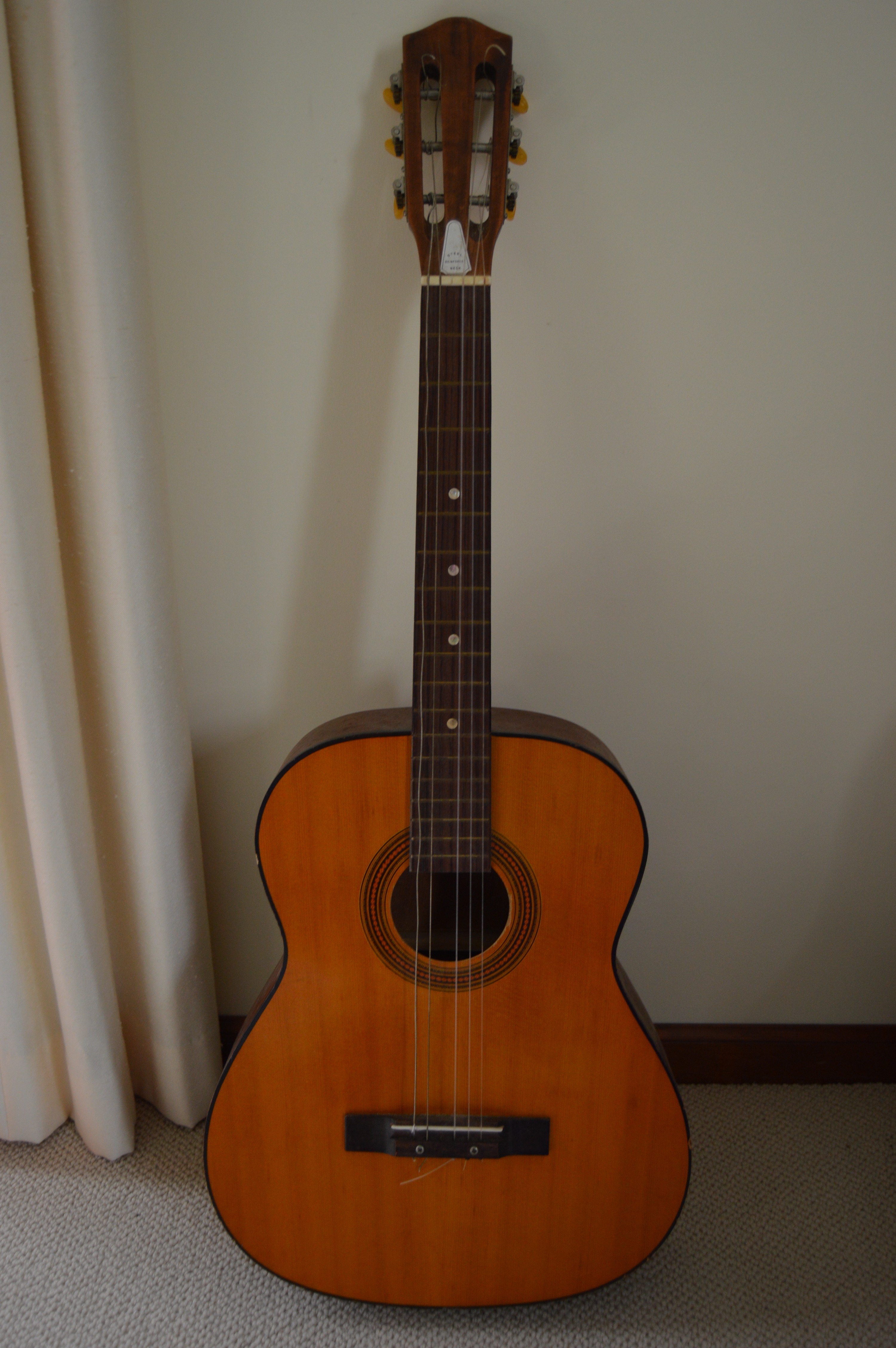 Goya G310 and Classical Style Acoustic Guitars