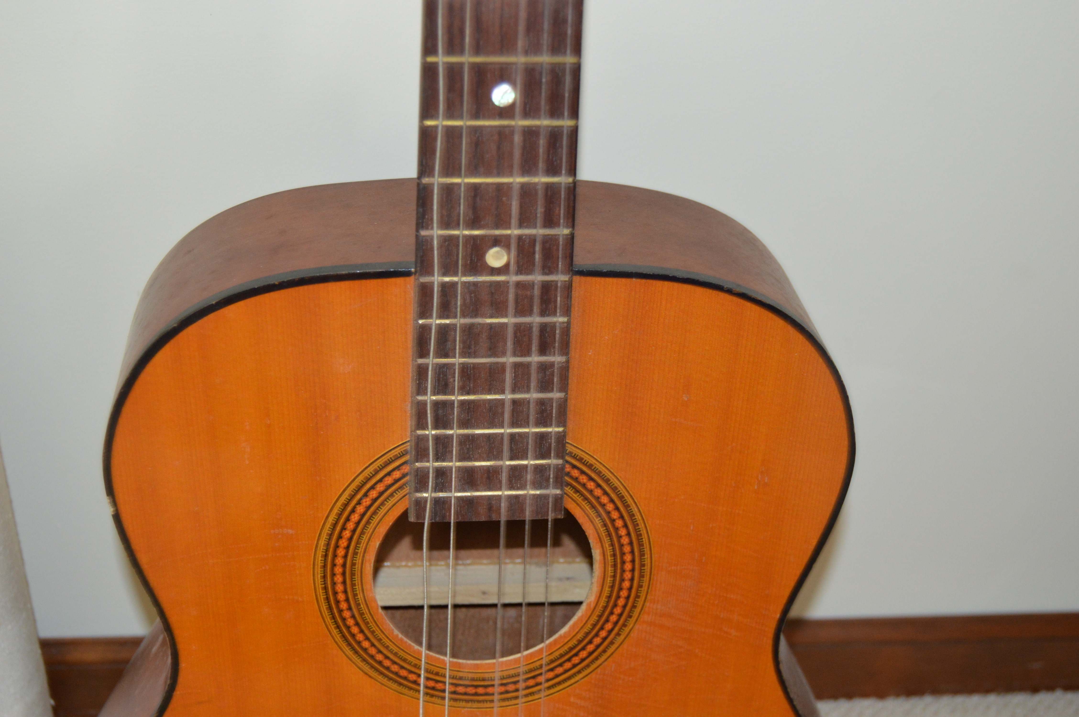 Goya G310 and Classical Style Acoustic Guitars