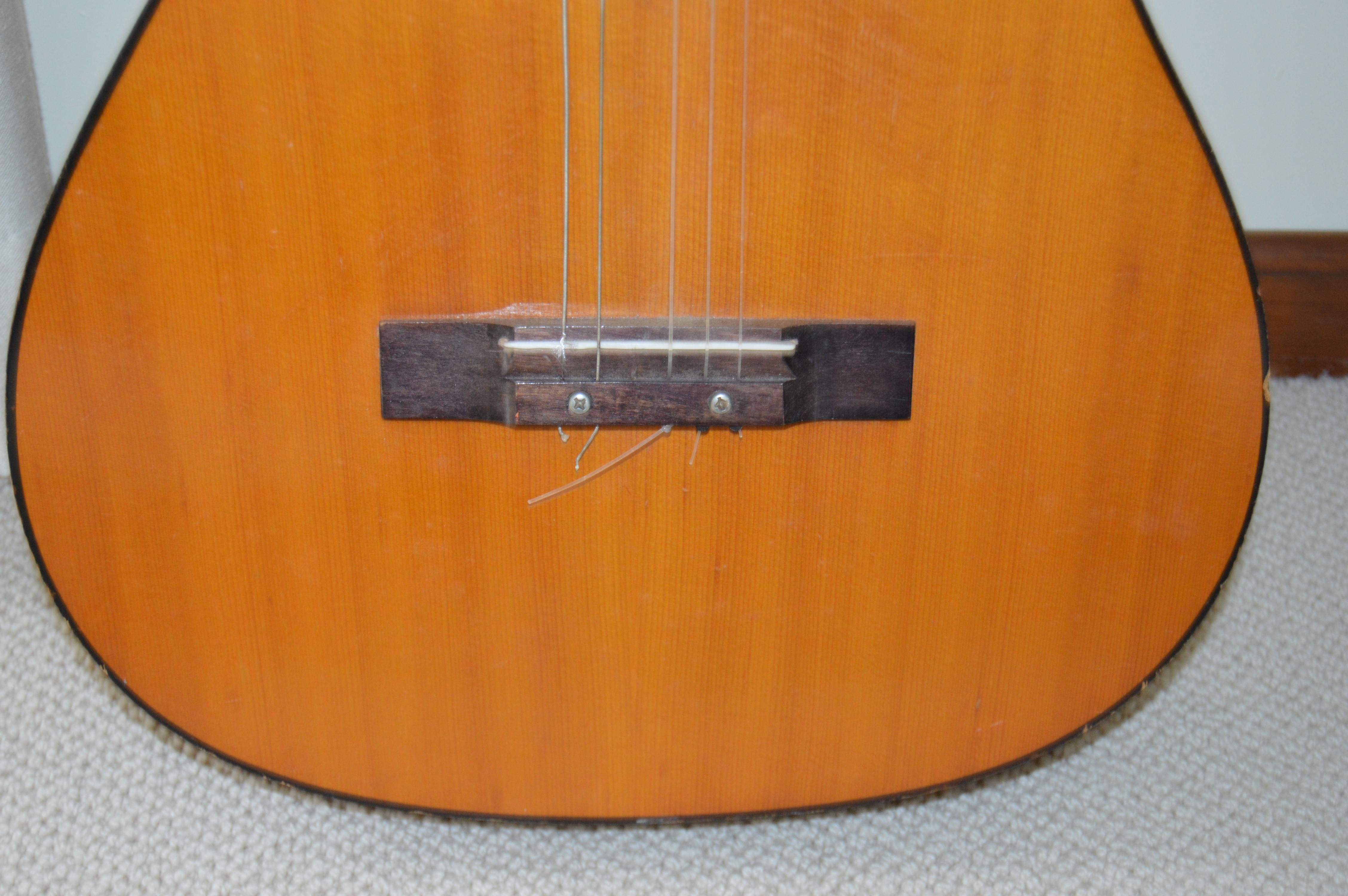 Goya G310 and Classical Style Acoustic Guitars