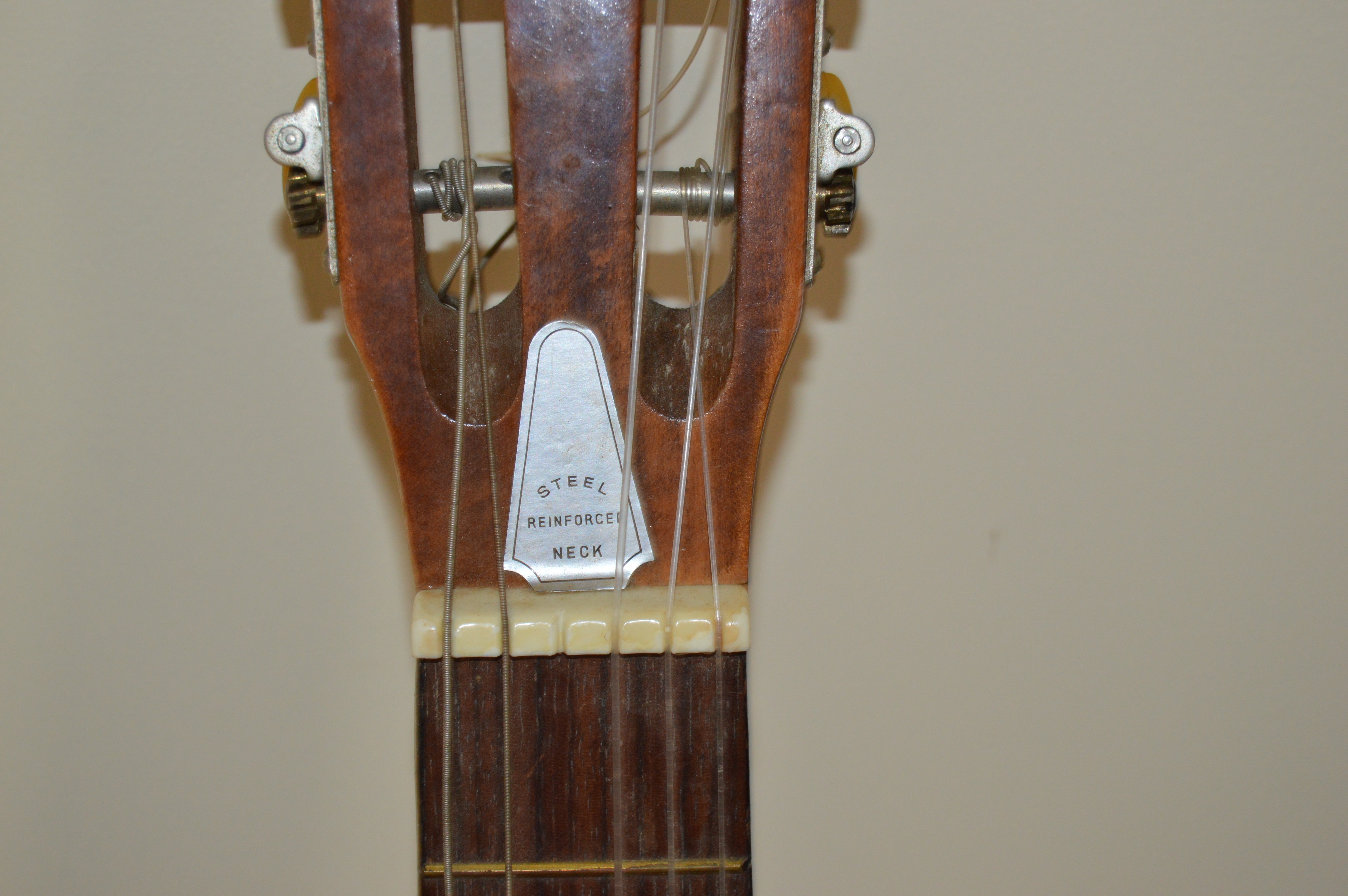 Goya G310 and Classical Style Acoustic Guitars
