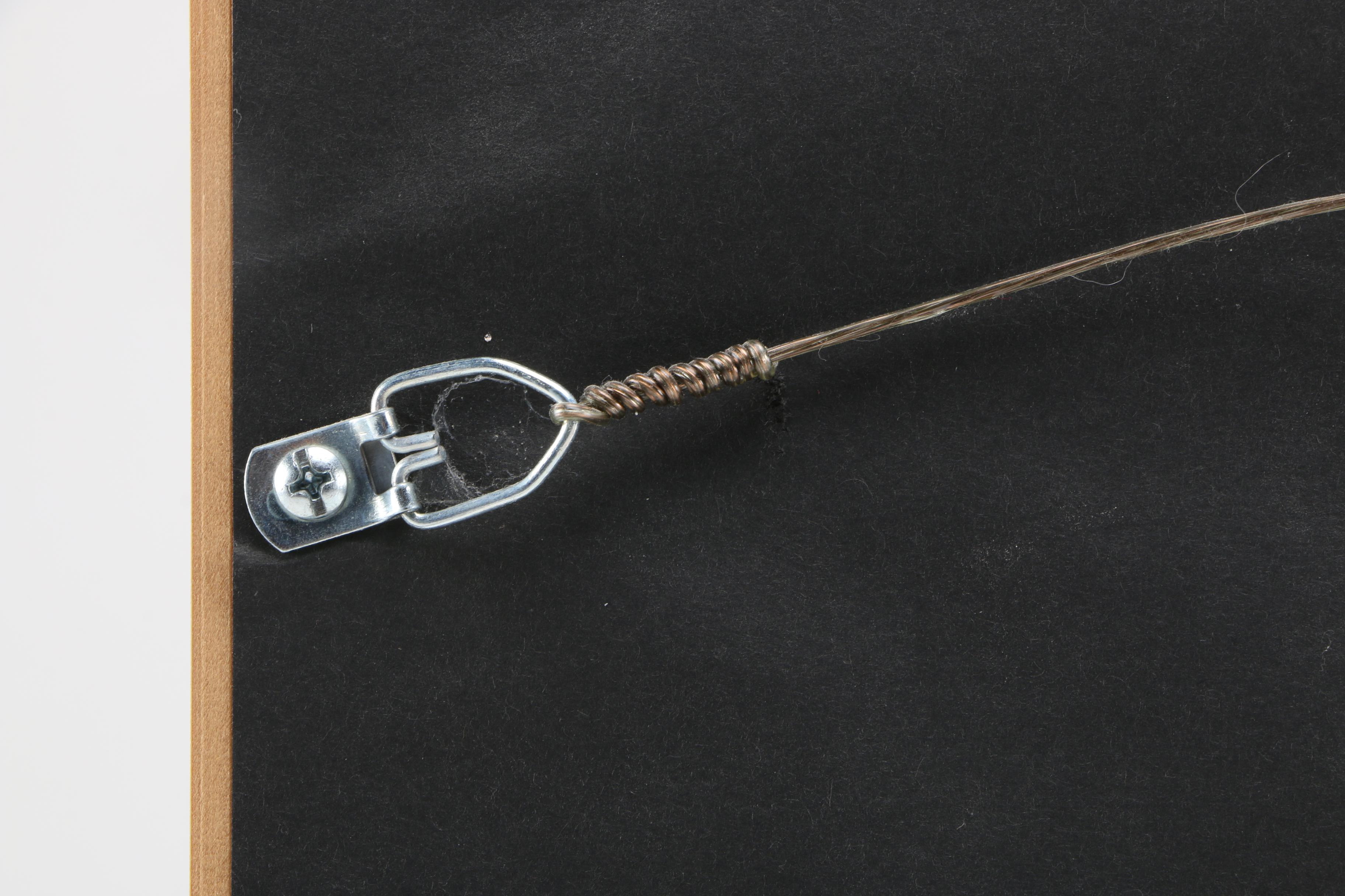 Limited Edition Dr. Seuss Lithograph "Say! I Like Green Eggs and Ham!"