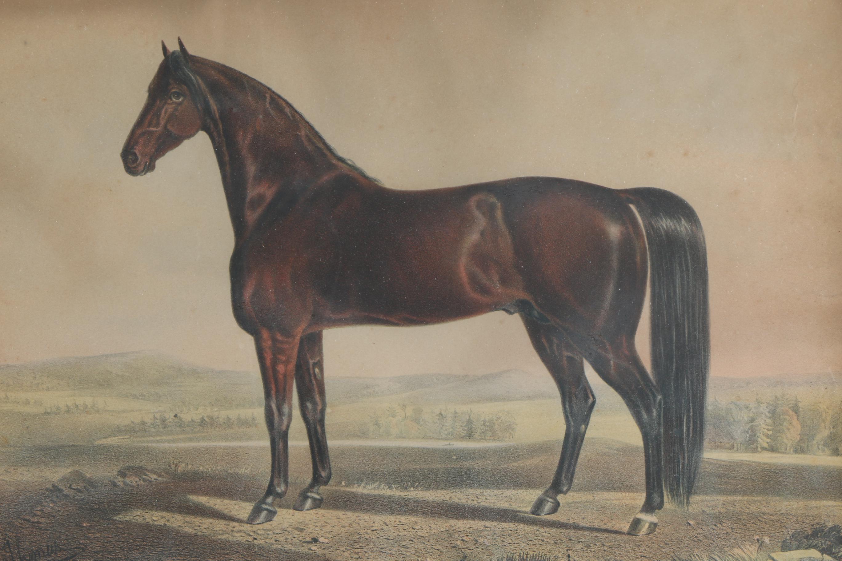 After H. Thomas Color Lithograph "Volunteer"