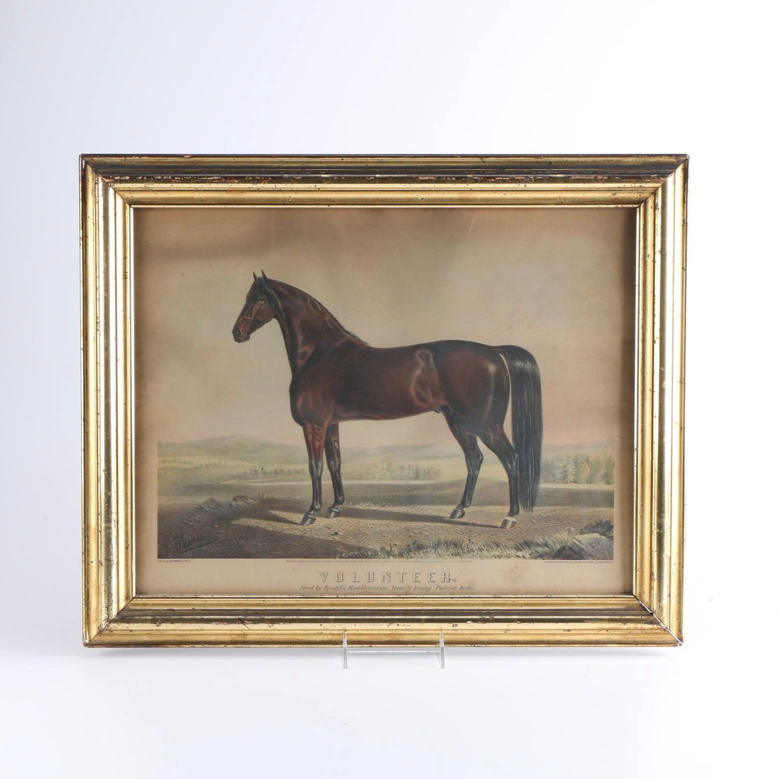 After H. Thomas Color Lithograph "Volunteer"