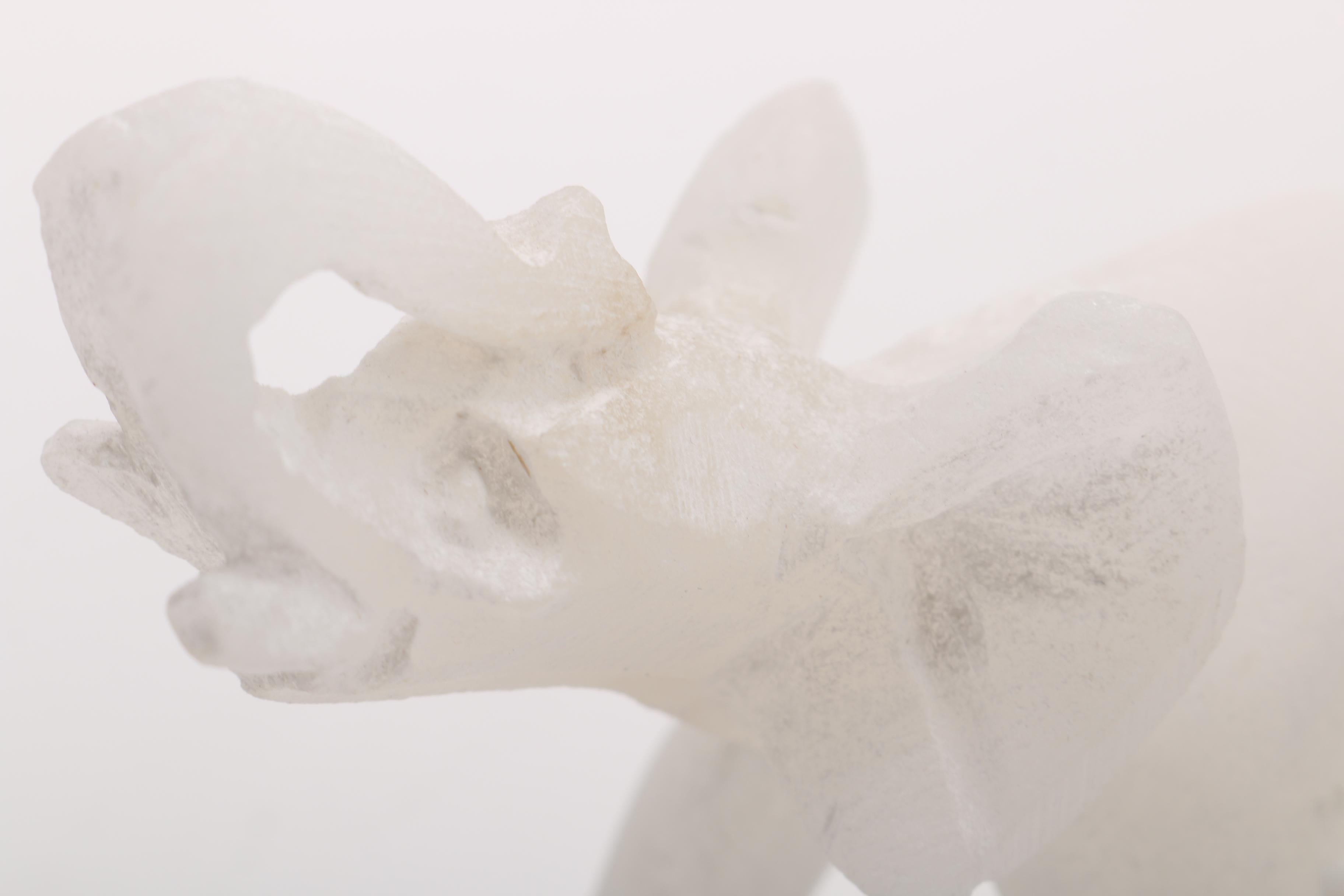 Elephant Figurines Including Trinket Box