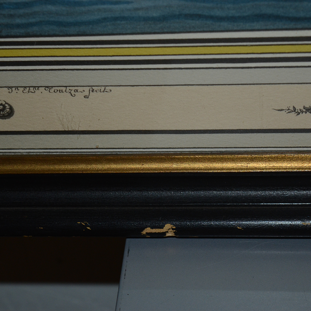 Framed Lithograph "Eliza of Providence"