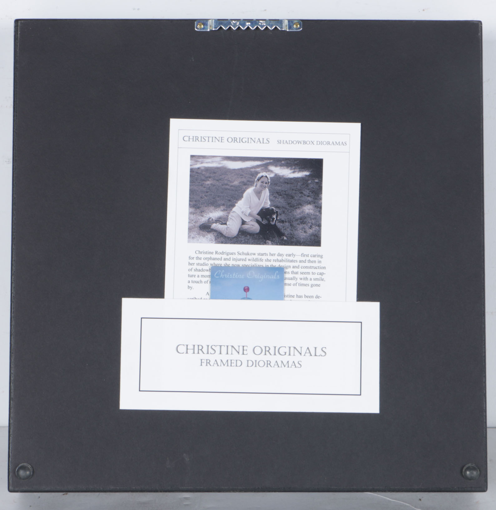 Christine Rodrigues Schukow Shadowbox Diorama "Dead End"