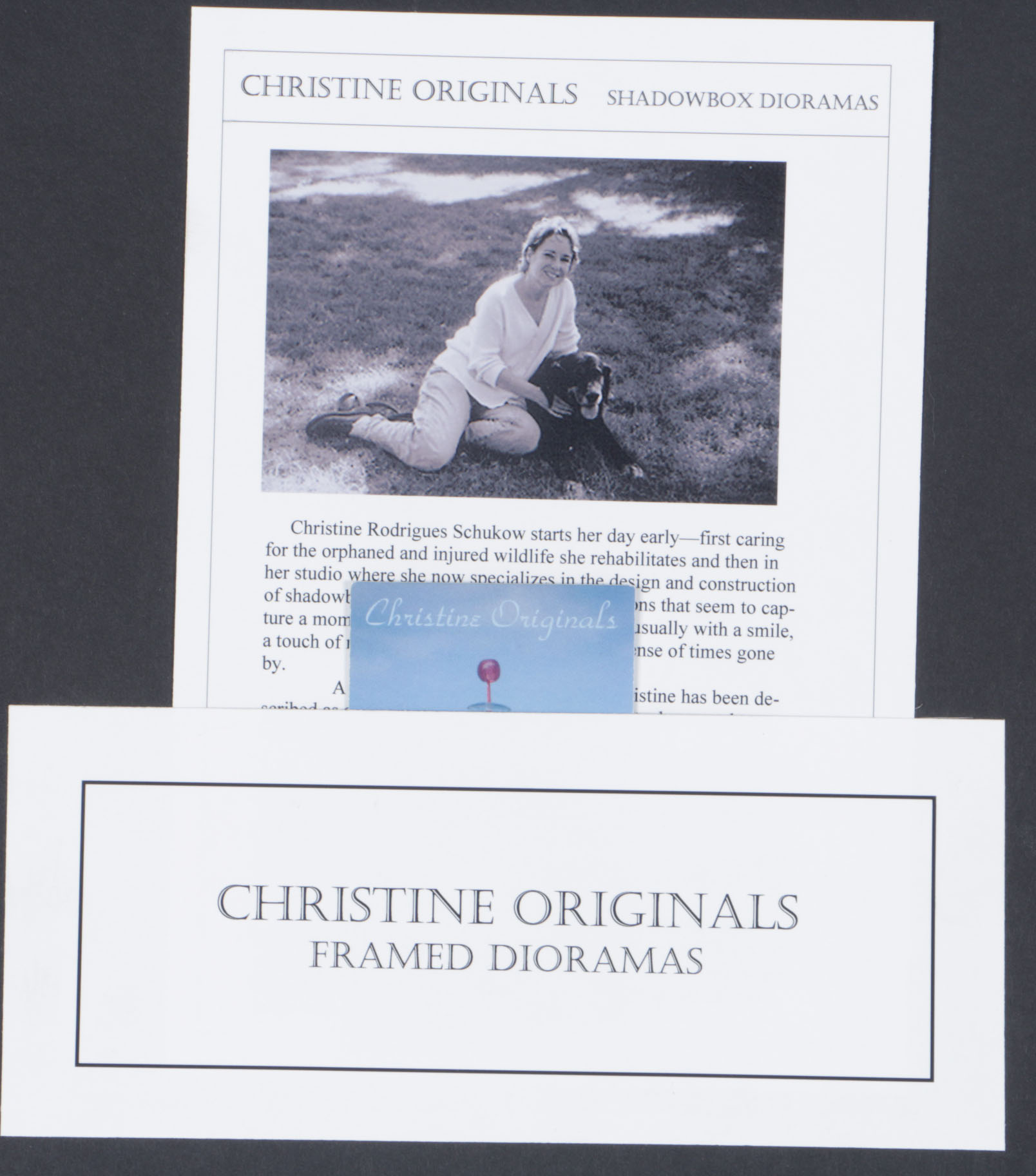 Christine Rodrigues Schukow Shadowbox Diorama "Dead End"