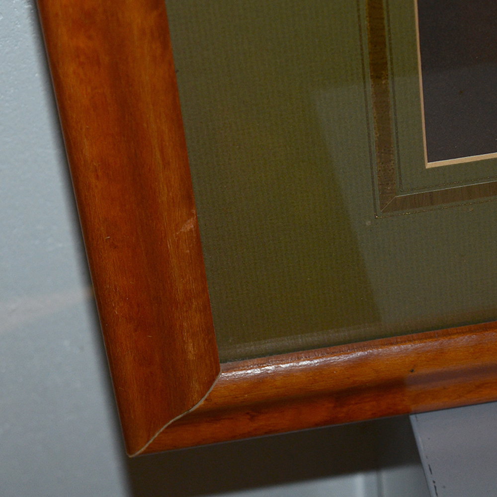 After George Brookshaw Offset Lithograph Botanical Prints