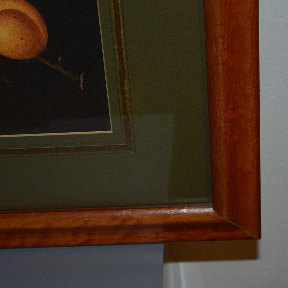 After George Brookshaw Offset Lithograph Botanical Prints