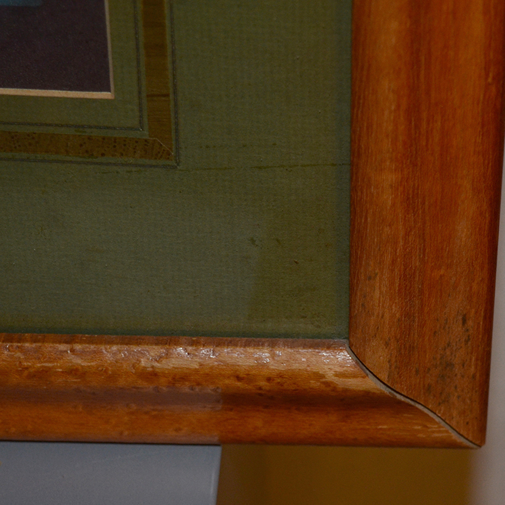 After George Brookshaw Offset Lithograph Botanical Prints