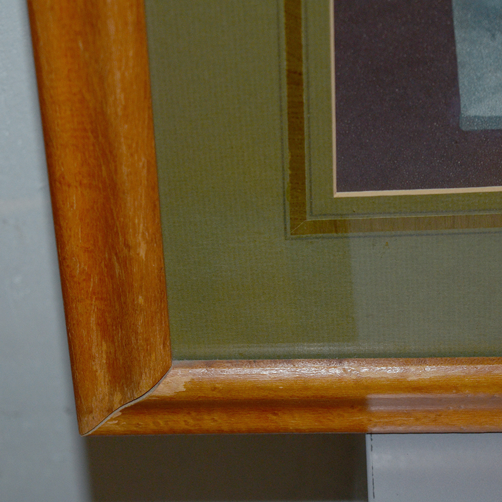 After George Brookshaw Offset Lithograph Botanical Prints