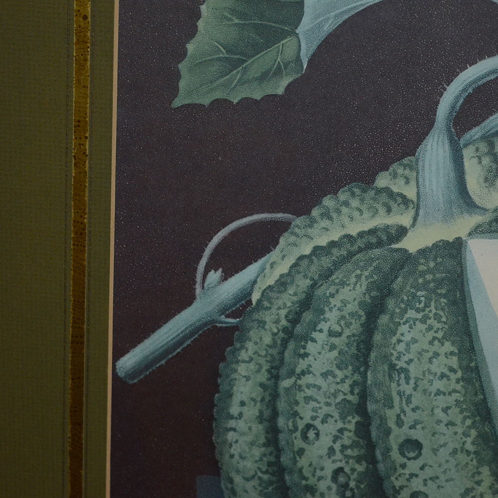 After George Brookshaw Offset Lithograph Botanical Prints