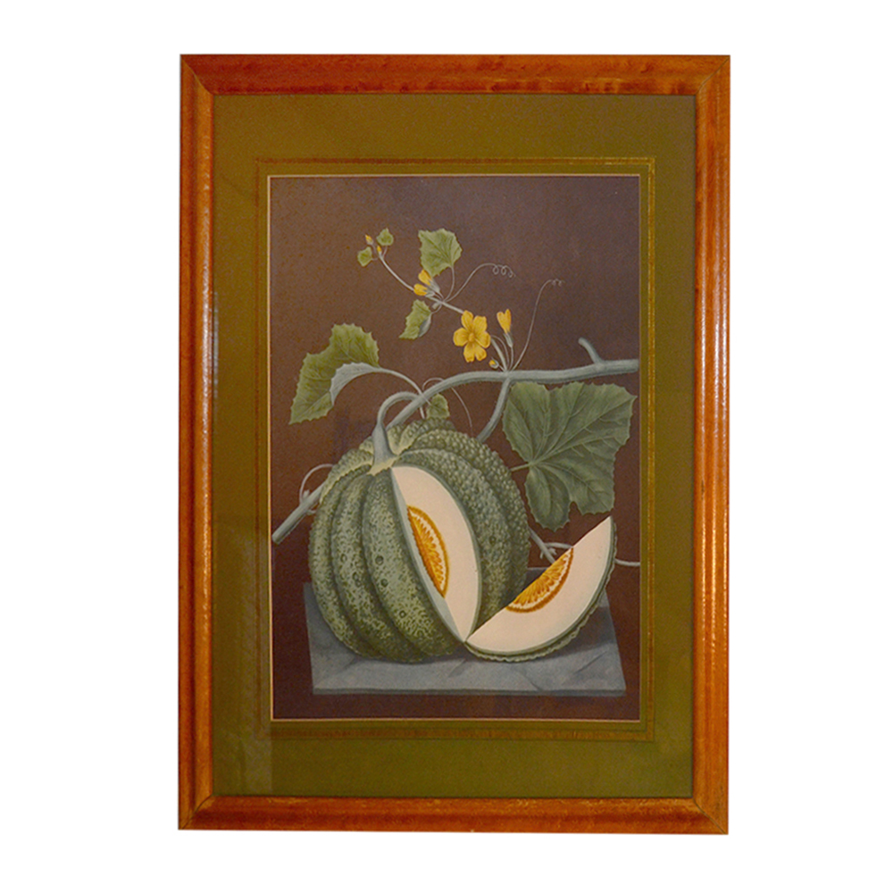 After George Brookshaw Offset Lithograph Botanical Prints