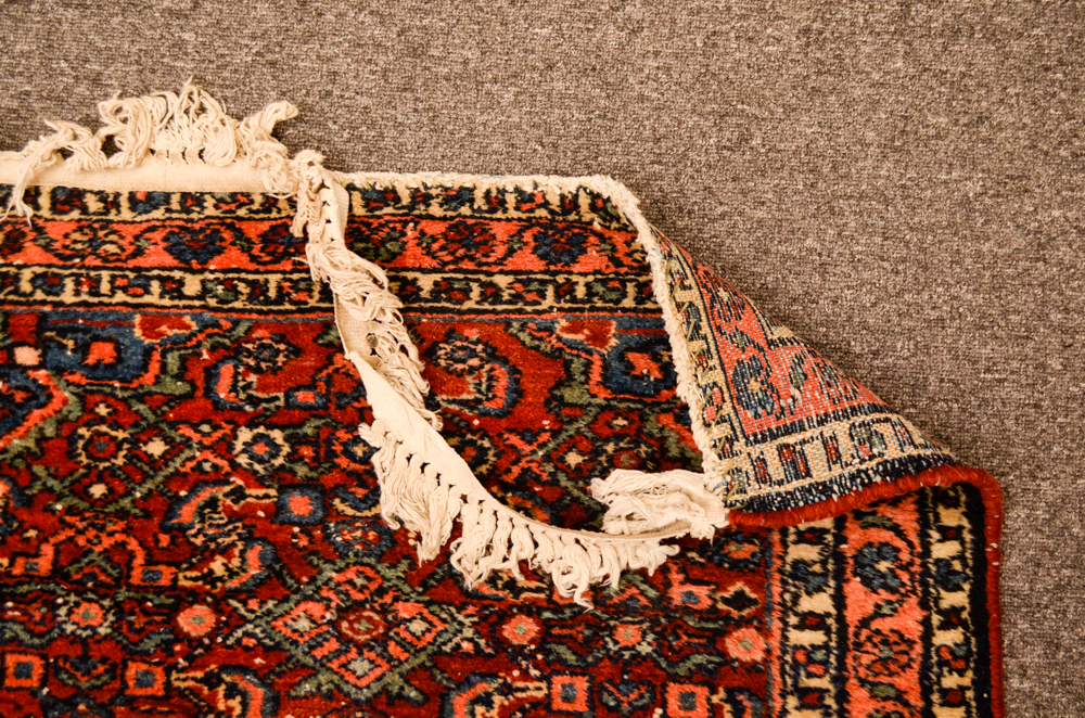 Hand-Knotted Wool Persian Hamadan Accent Rug