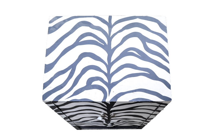 Painted Zebra Cabinet