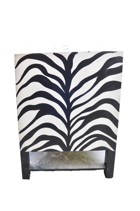 Painted Zebra Cabinet