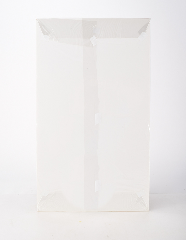 1919 "The National Police Gazette" Newspaper Header and Photo Pages Featuring Rogers Hornsby