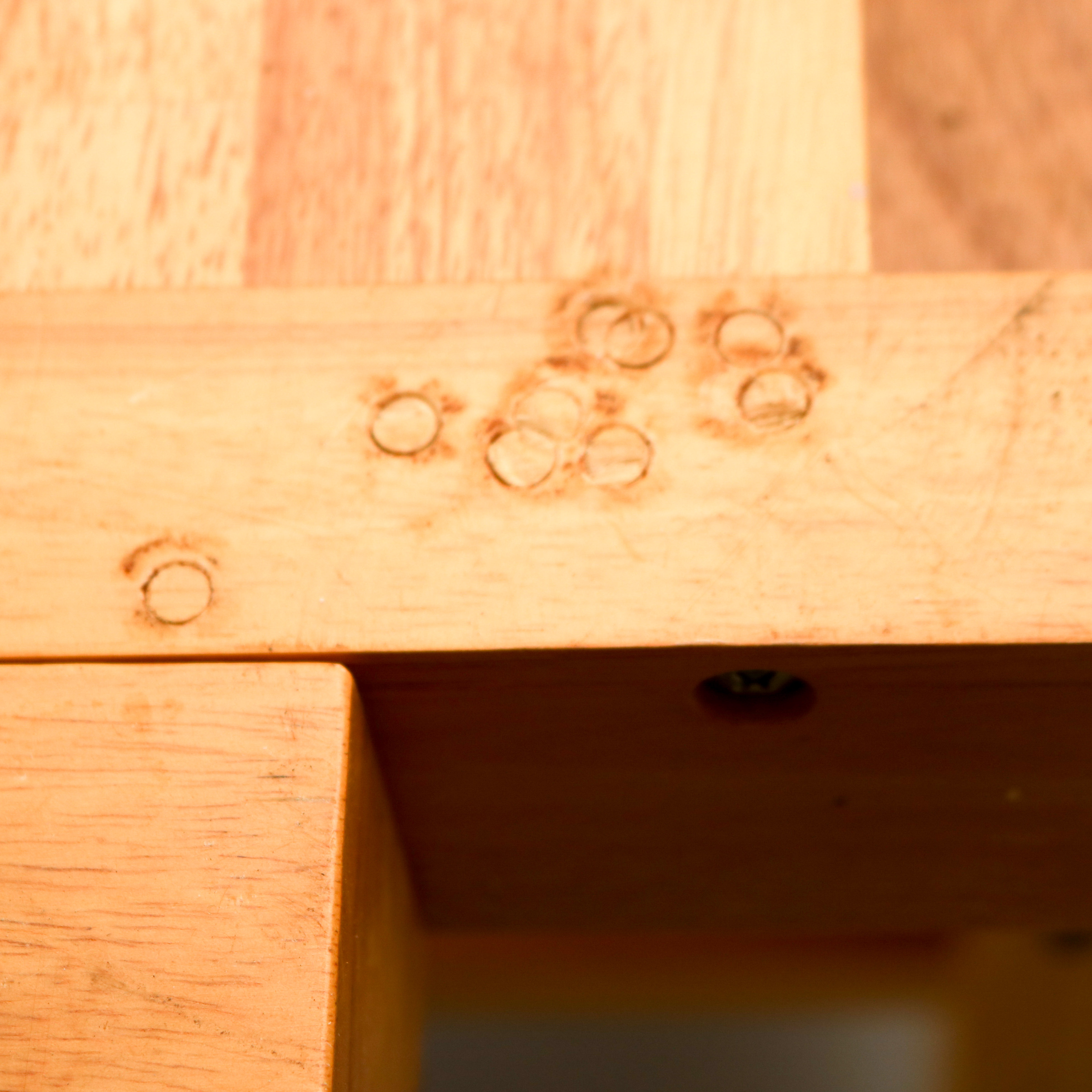 Maple Work Bench by Ace