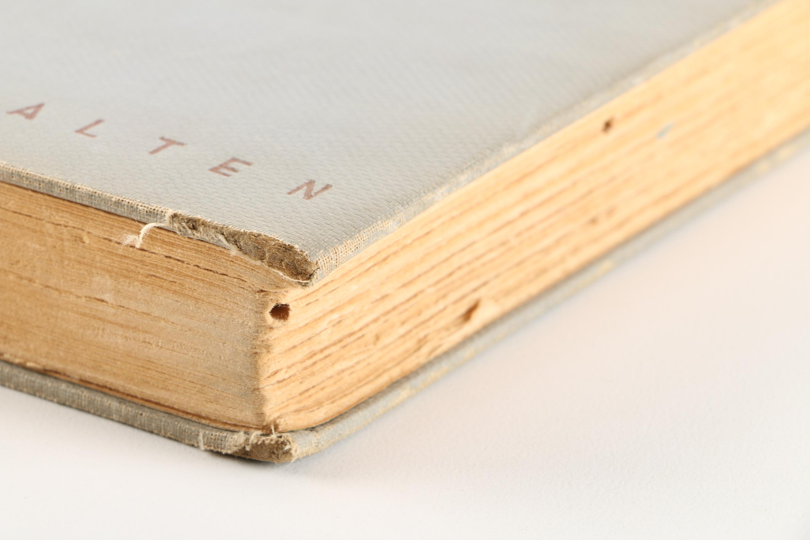 1931 "Bambi" by Felix Salten