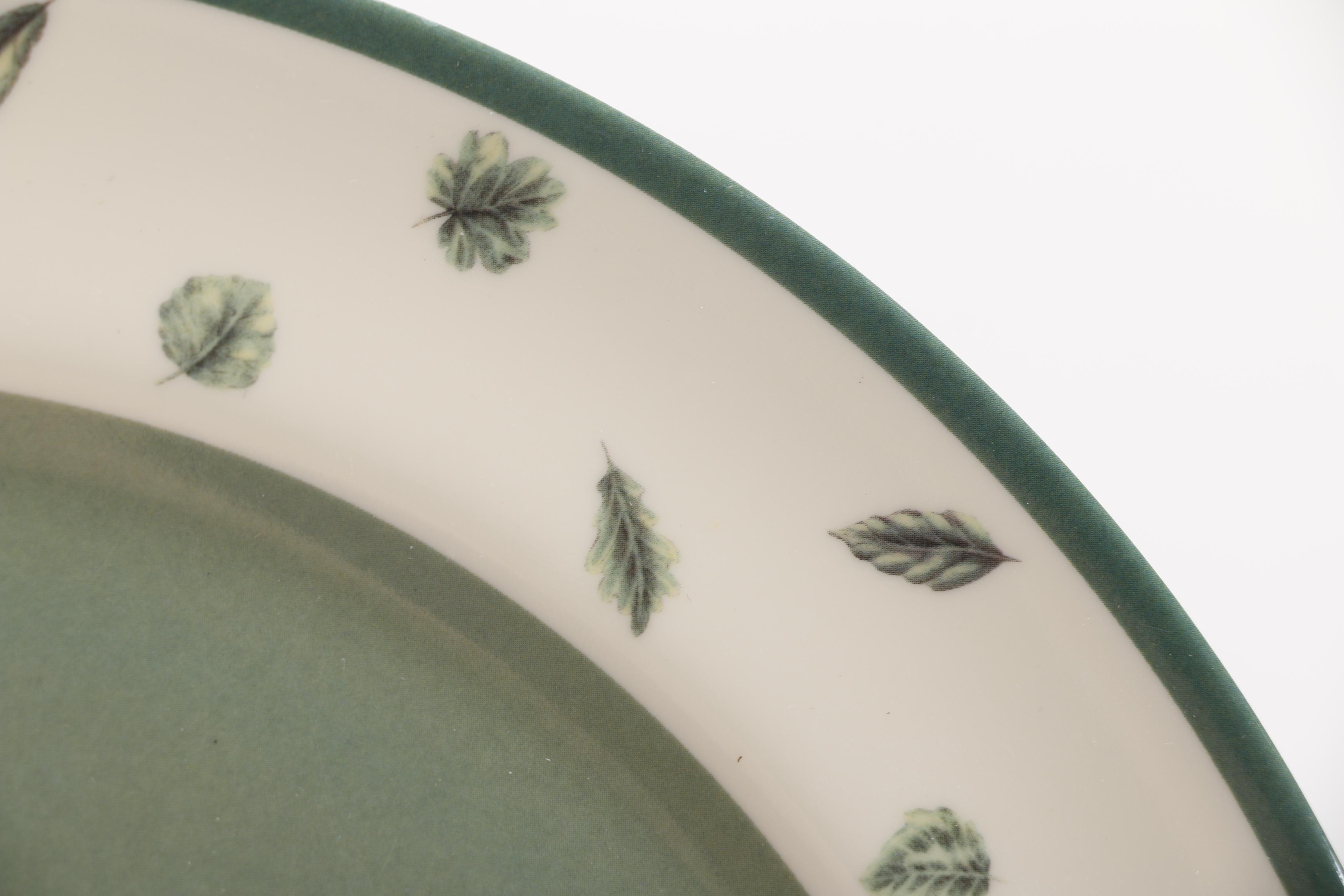 Pfaltzgraff Melamine Dish Set and Ceramic Pier One Mugs