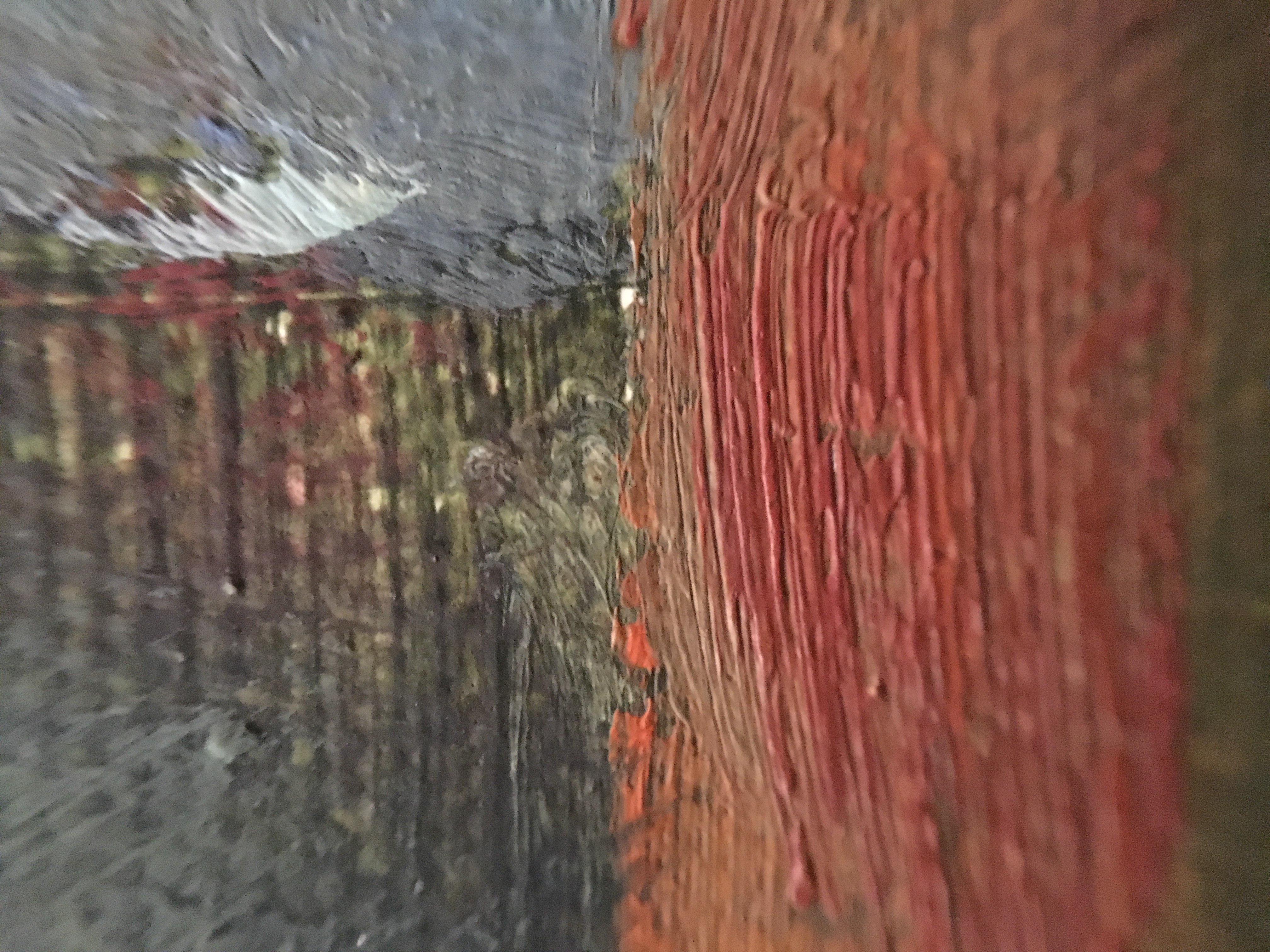 Acrylic on Canvas Poppy Field Painting