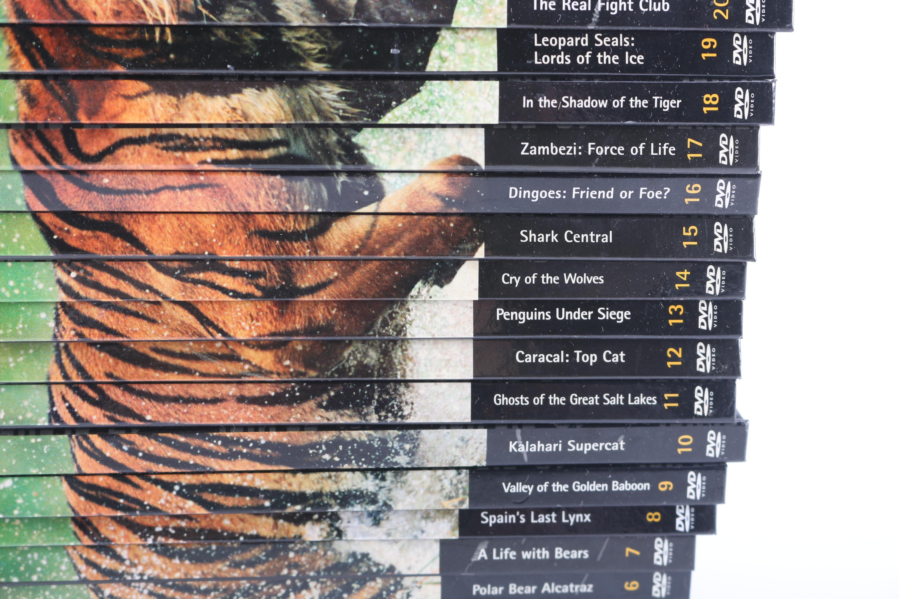 "Natural Killers" Wildlife Theme DVD Collection