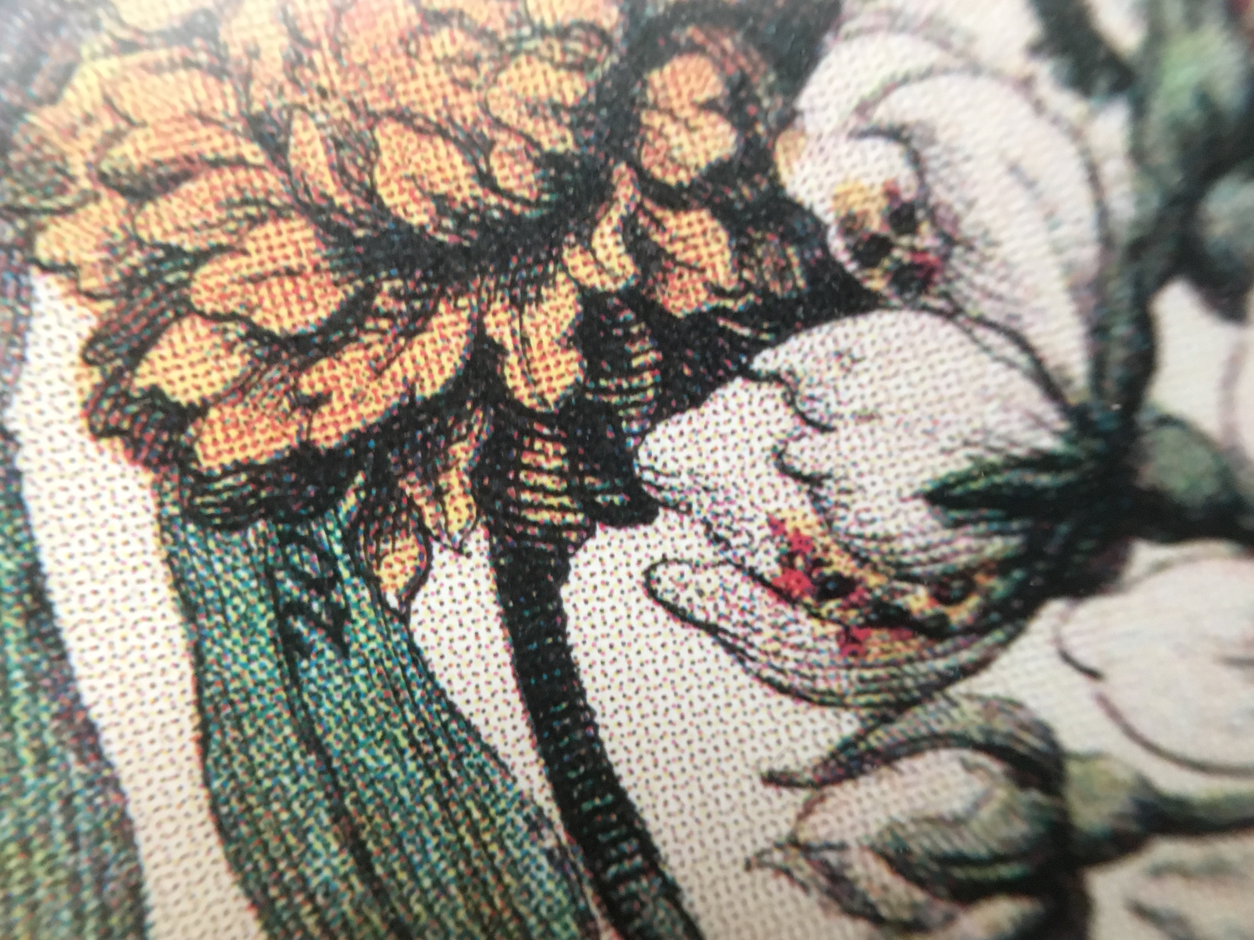 Offset Lithographs of Robert Furber "Twelve Months of Flowers"