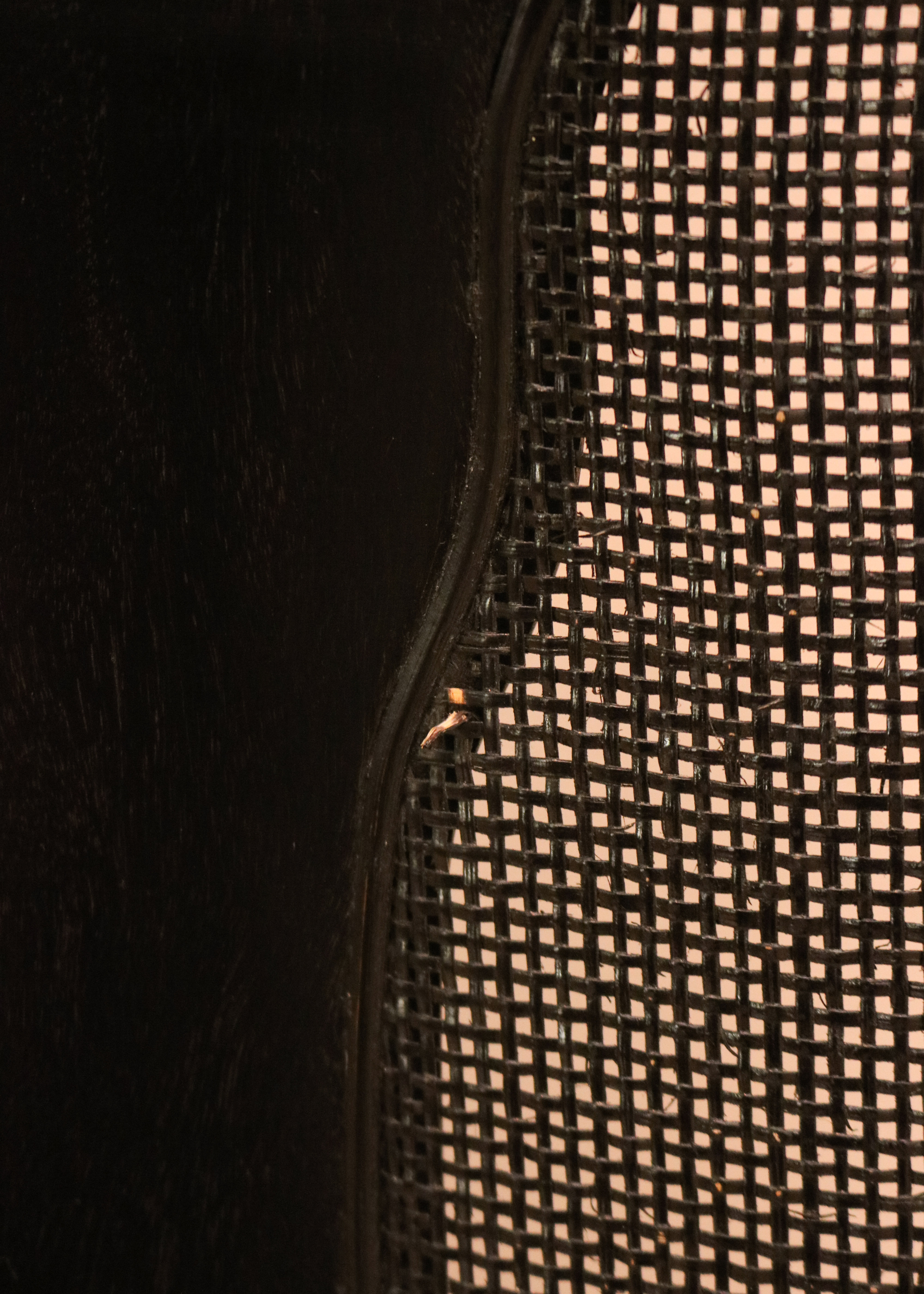 Chinoiserie Dining Room Set