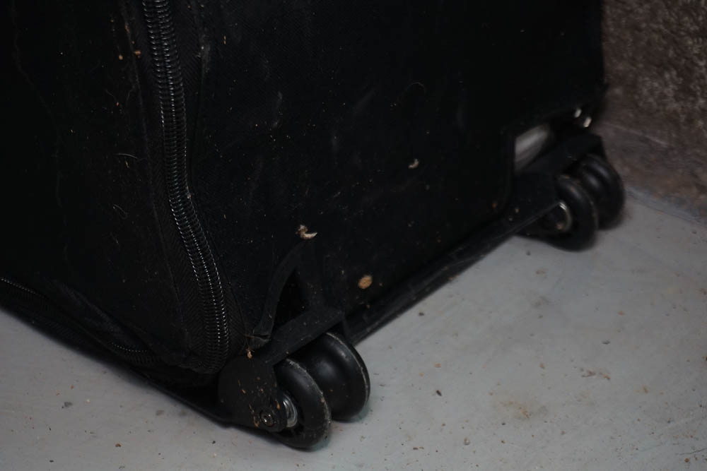 Queen Size EZ Bed Basic by Frontgate