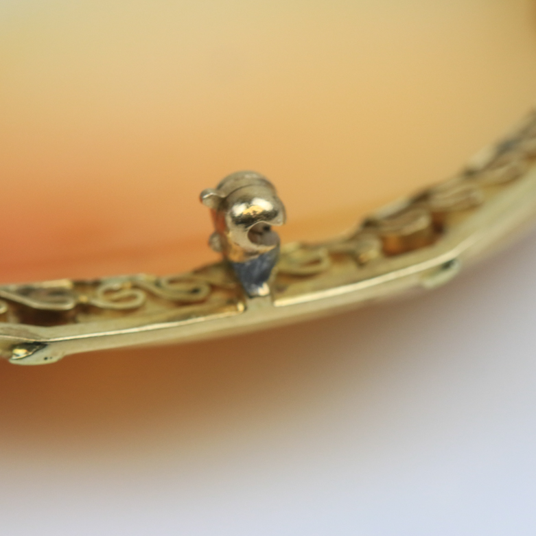 Vintage 14K Yellow Gold and Carved Shell Cameo Pendant Brooch