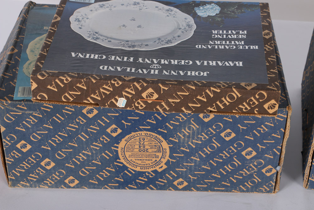 Johann Haviland "Blue Garland" Fine China Set