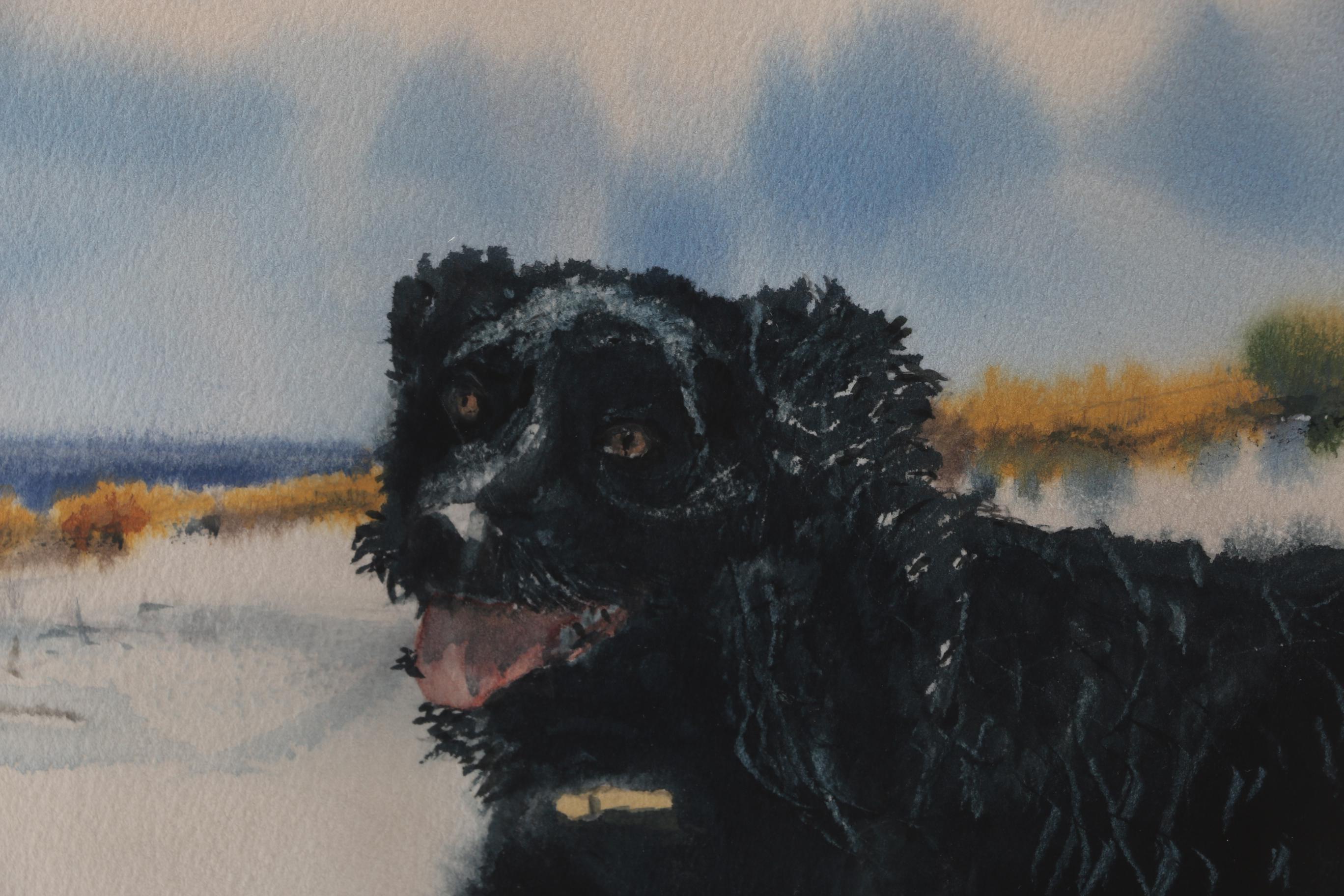 Phil Miller Watercolor Painting of a Dog on the Beach