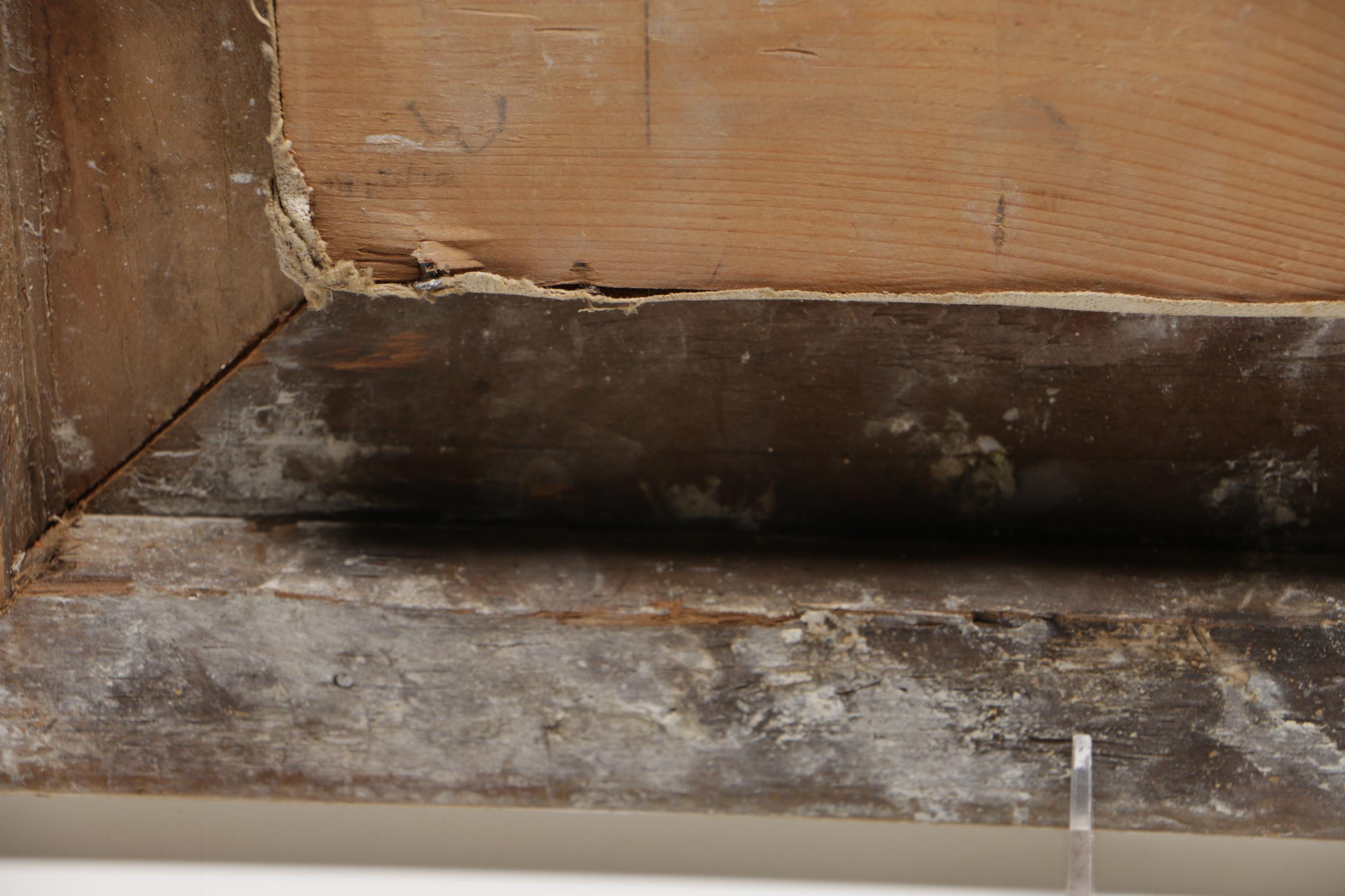 Oil on Canvas Painting of an Interior with Calla Lilies