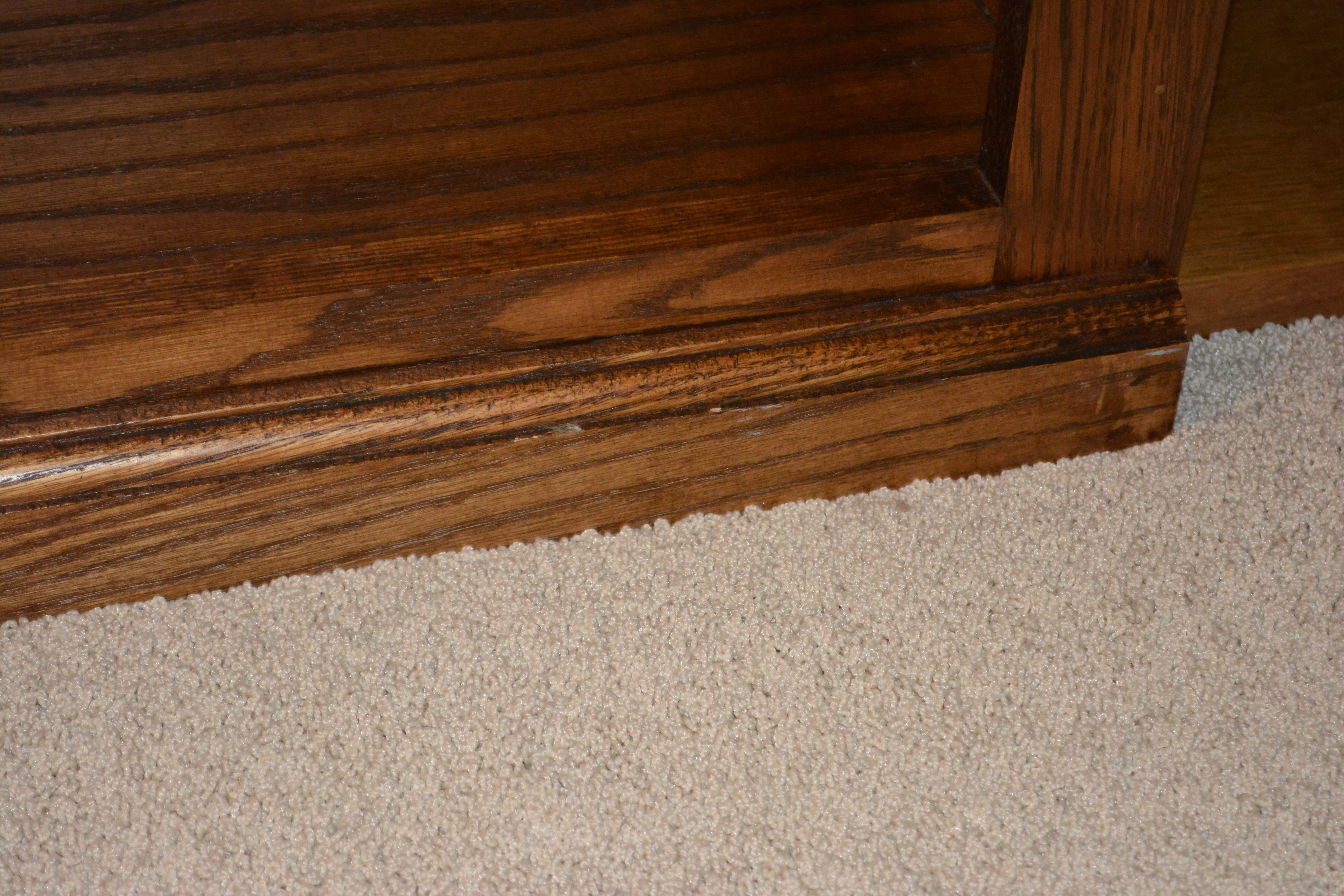 Contemporary Five-Shelf Bookcase