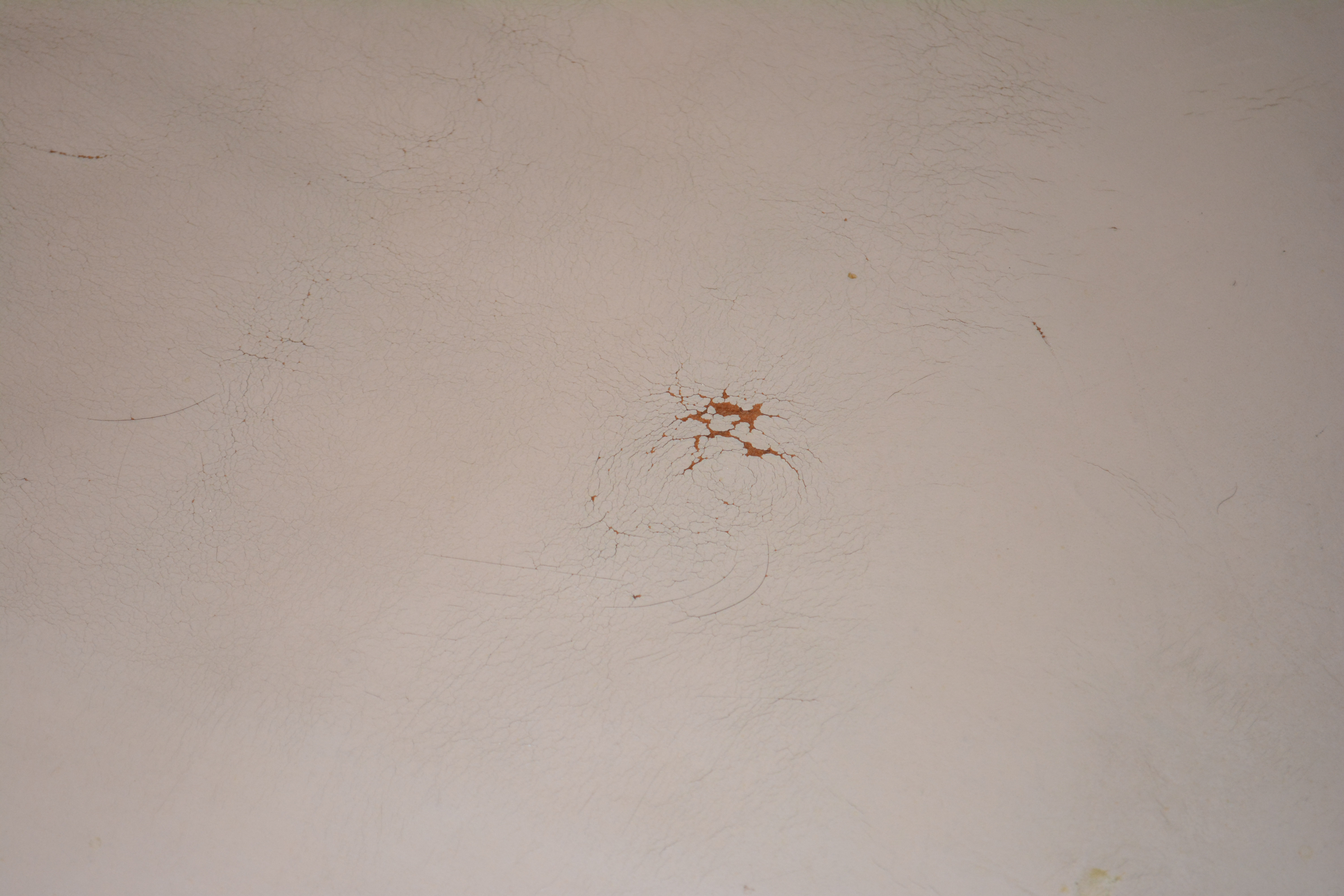 Vintage Hepplewhite Style Side Chairs With Leather Seats